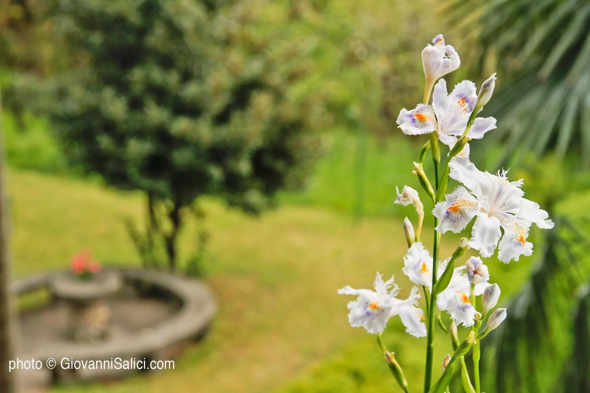 SANTANGELA Hostel & Rooms