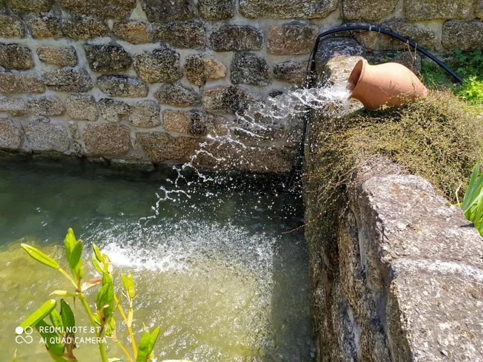 Swimming pool in Casas Vale Martinho