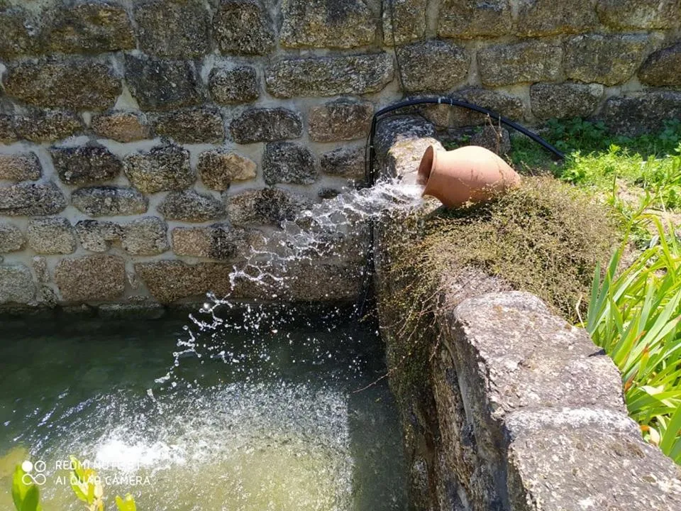 Swimming pool in Casas Vale Martinho