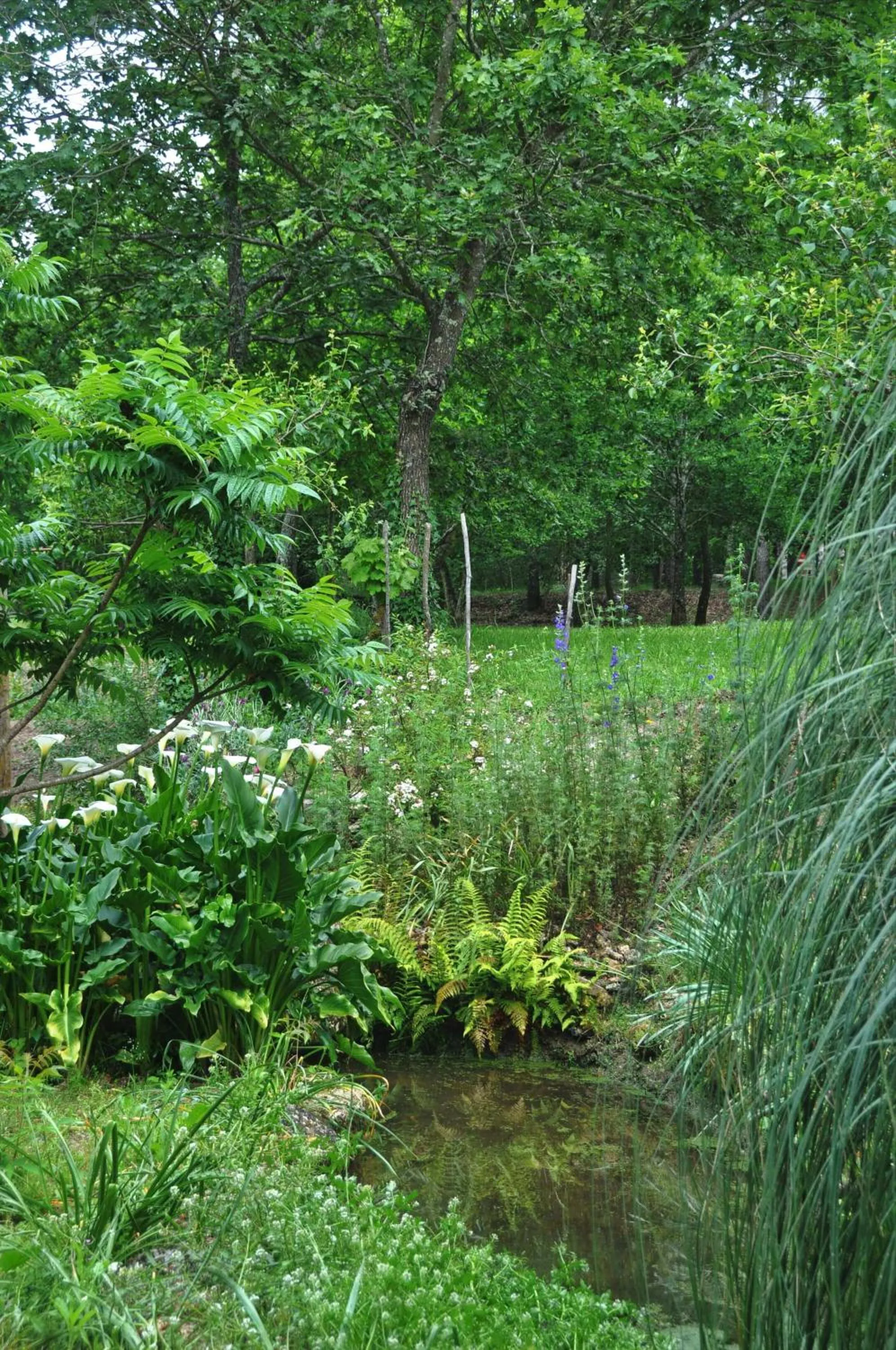 View (from property/room) in Casas Vale Martinho