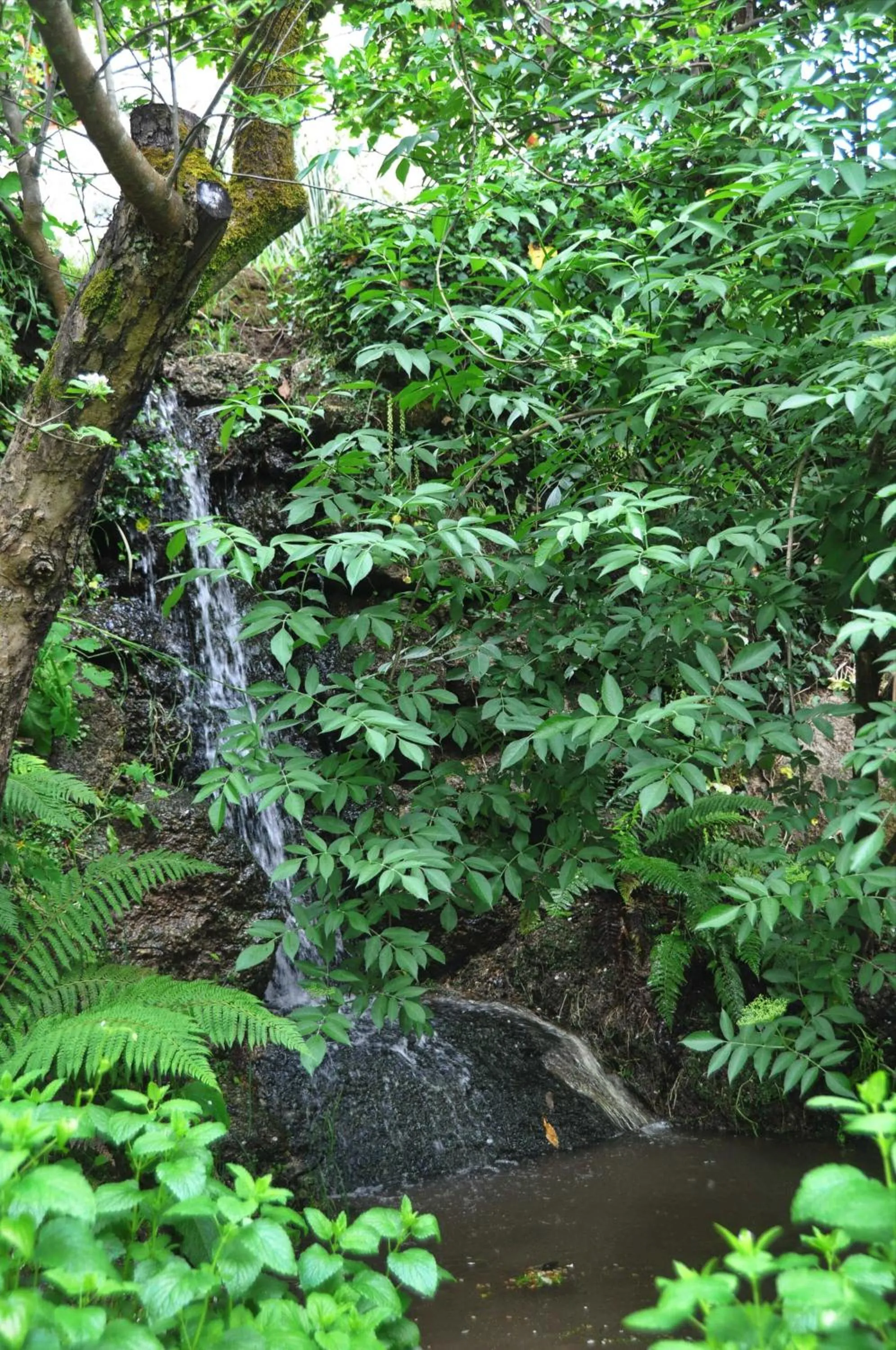 View (from property/room) in Casas Vale Martinho