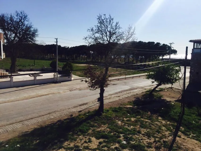 Garden view in Geyikli Berfin Otel