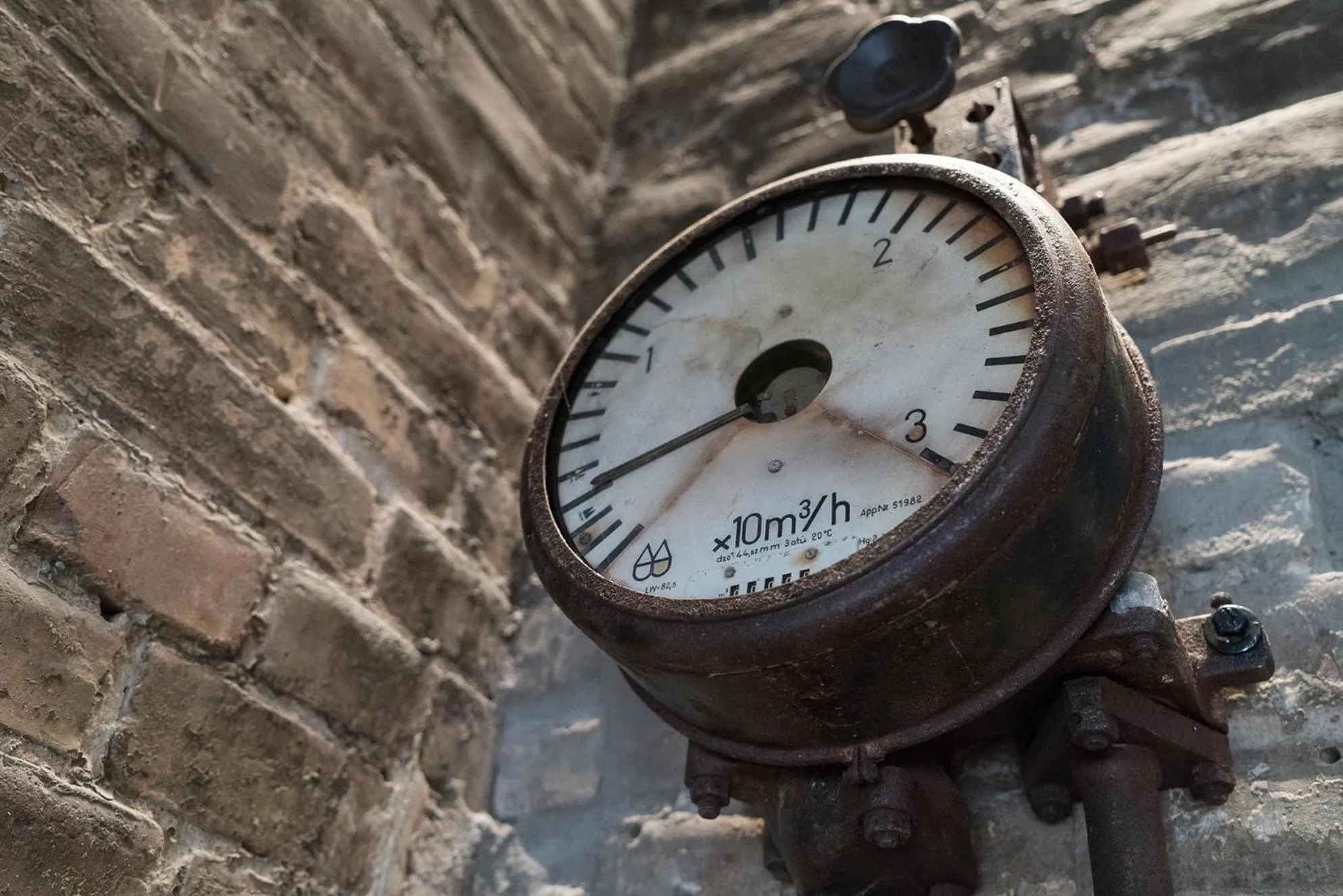 Restaurant/places to eat in Hotel Oderberger