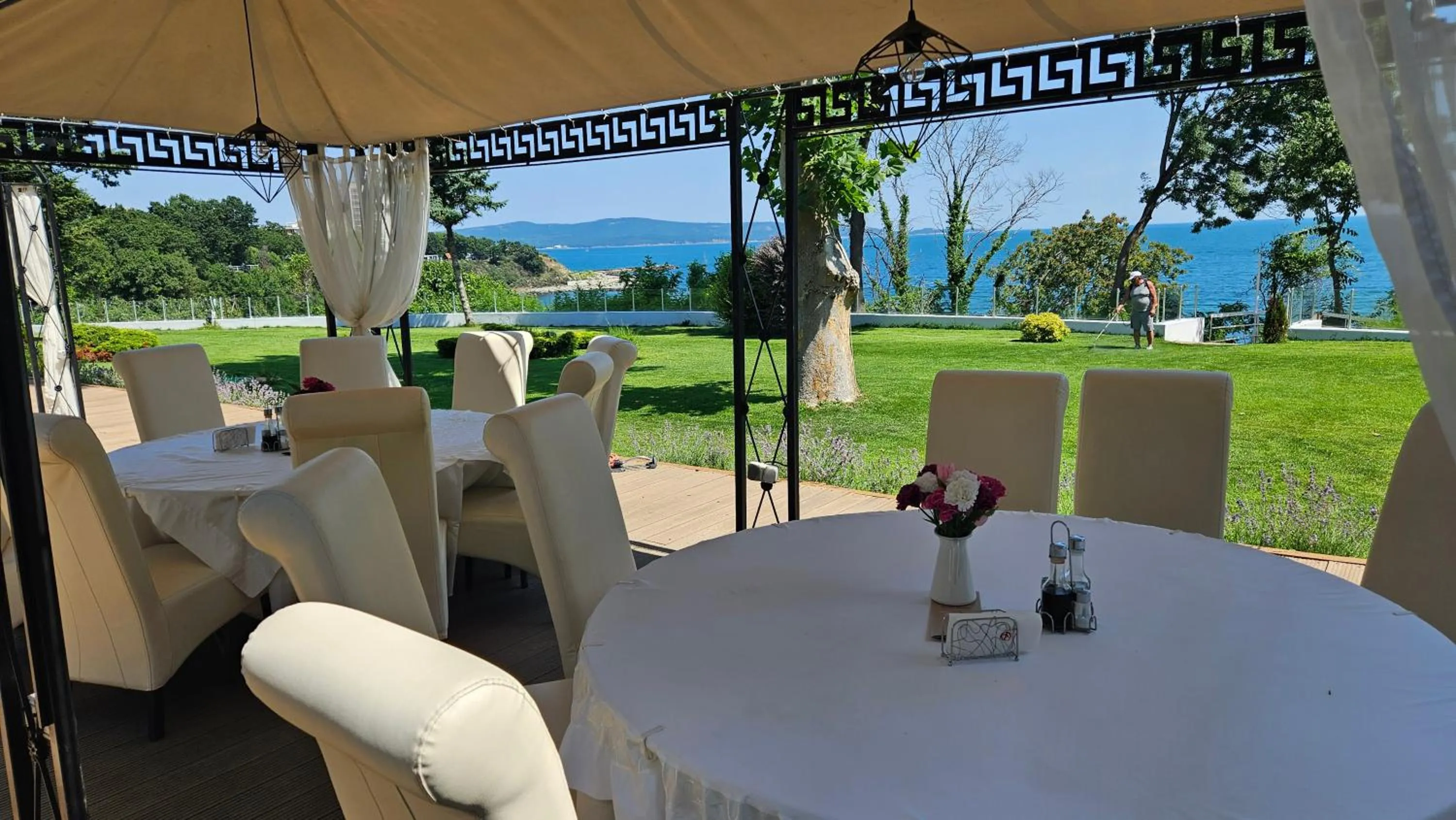 Garden in Dodo Beach Hotel