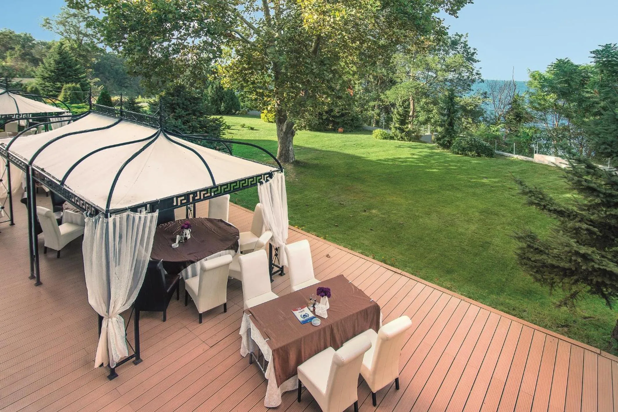 Garden in Dodo Beach Hotel