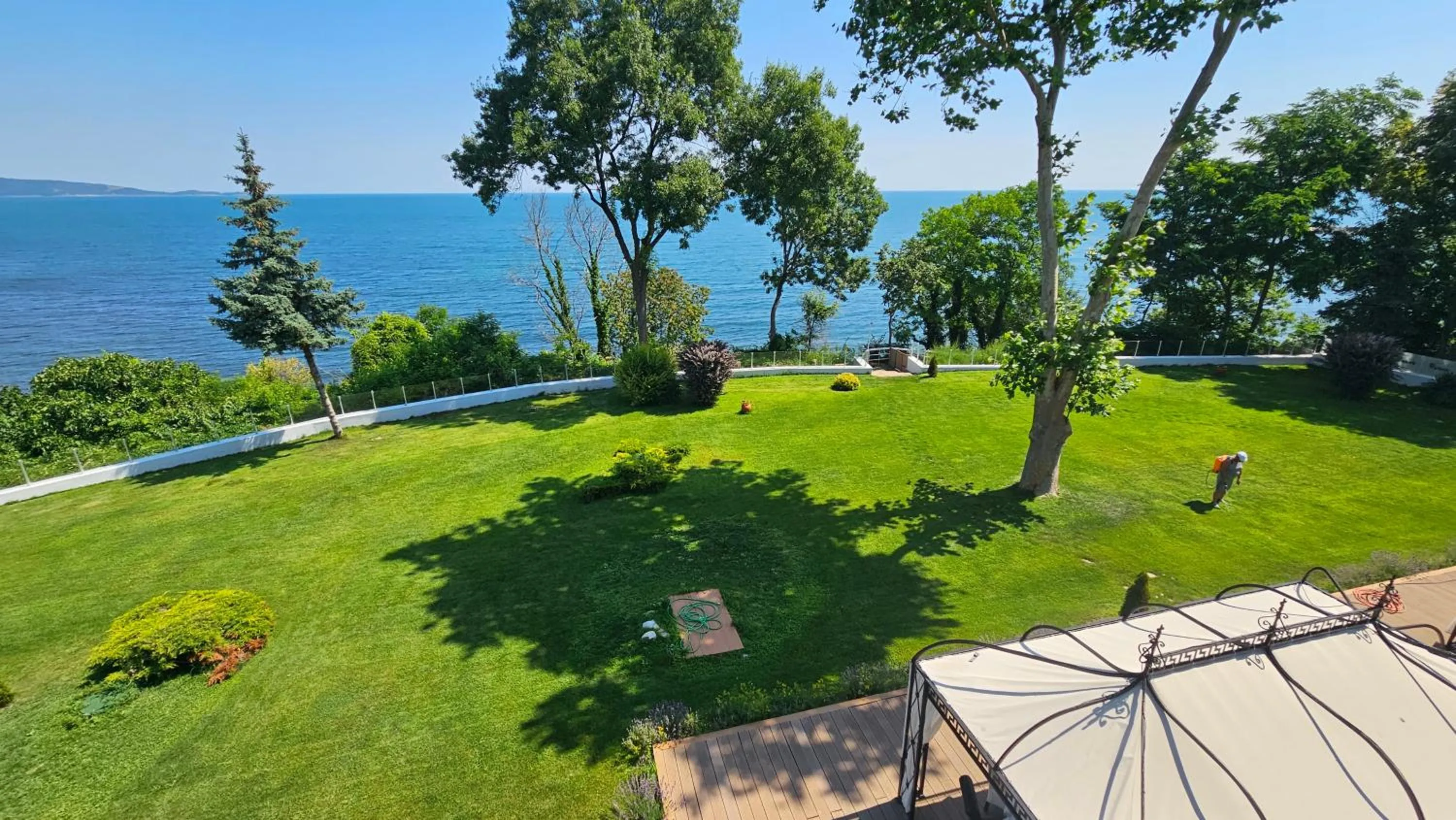 Garden in Dodo Beach Hotel