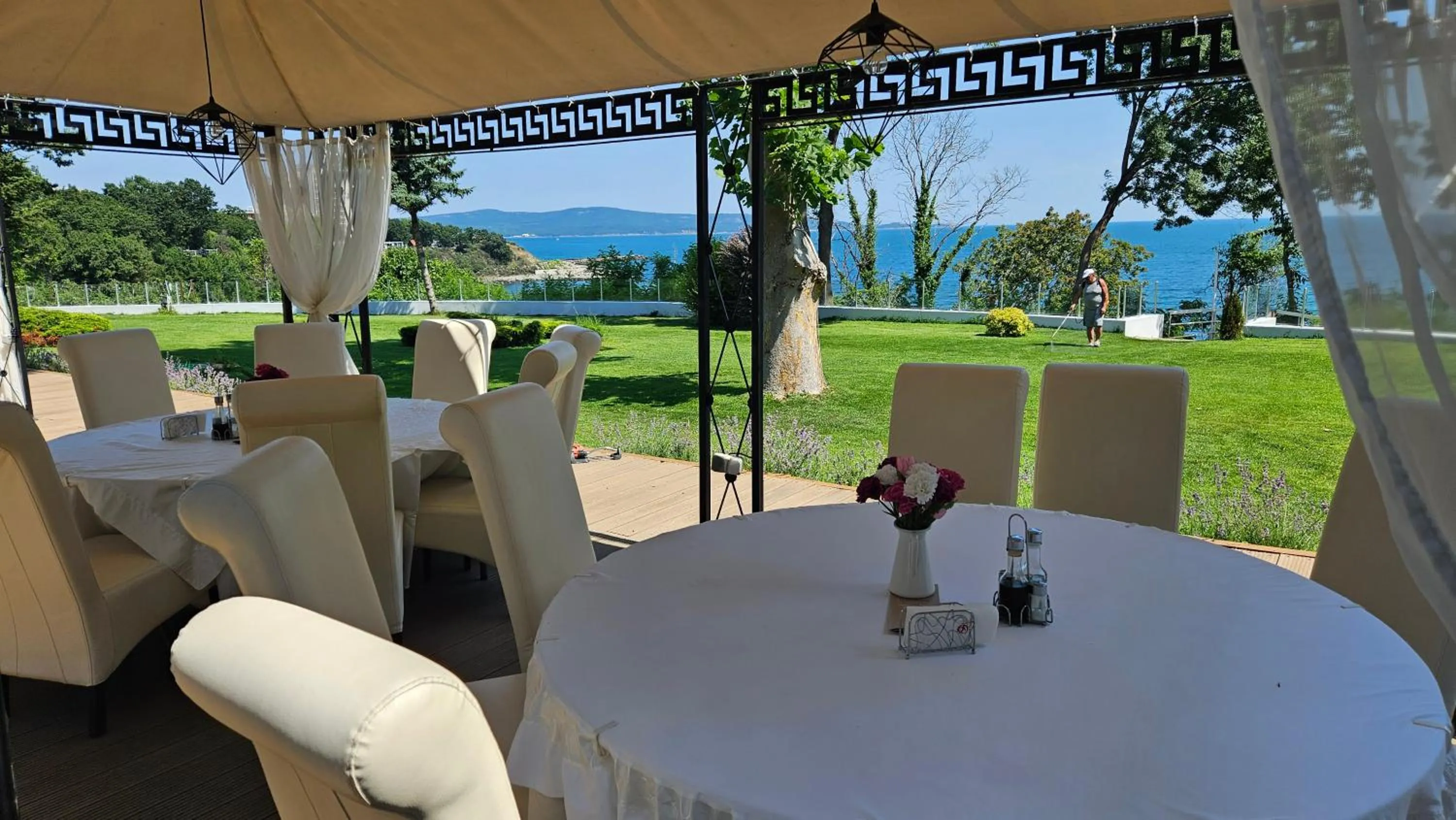 Garden in Dodo Beach Hotel