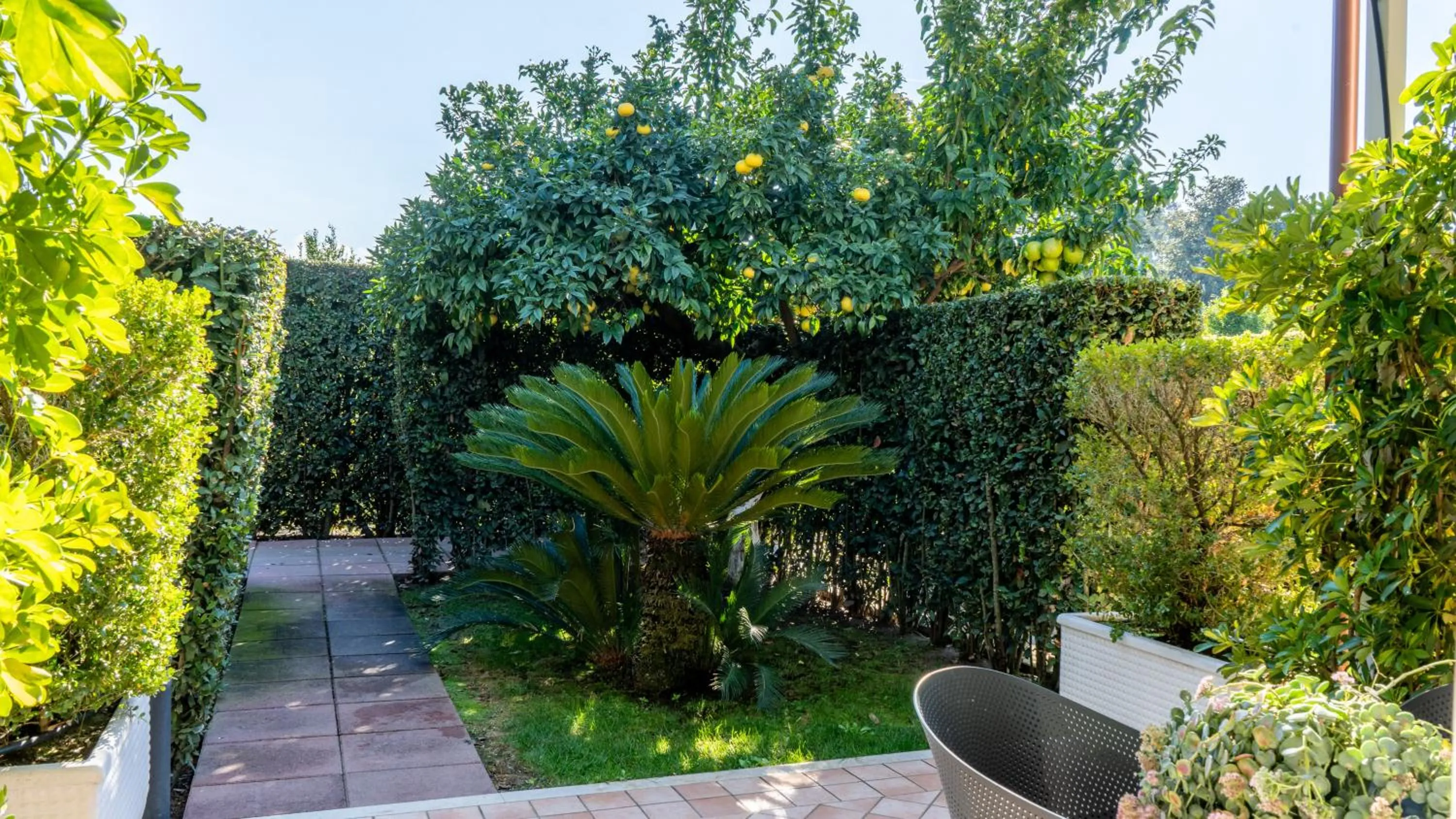 Garden view in Resort & Winery Bosco De Medici