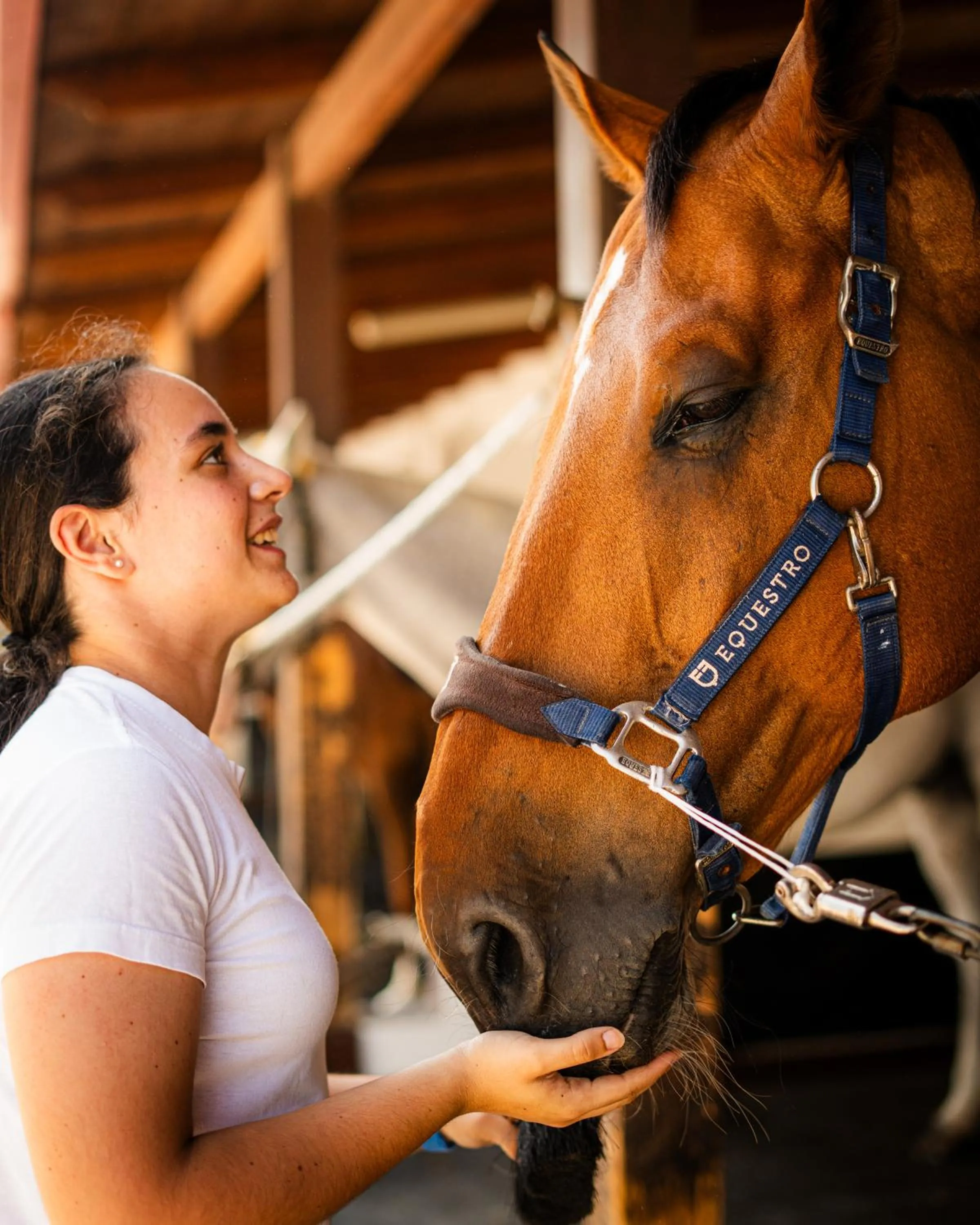 Horse-riding in Resort & Winery Bosco De Medici