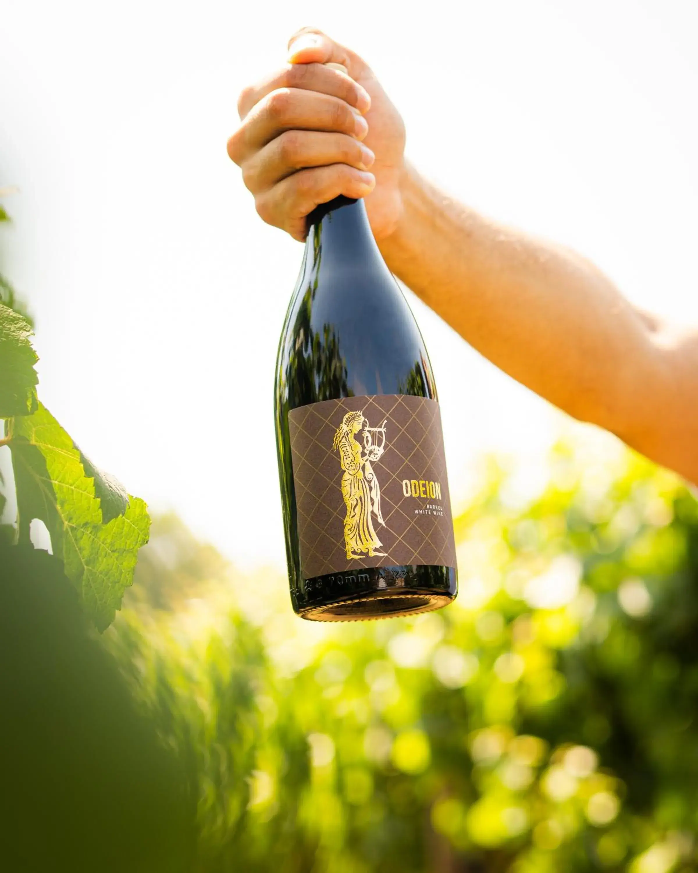 Garden view in Resort & Winery Bosco De Medici Garden view in Resort & Winery Bosco De Medici