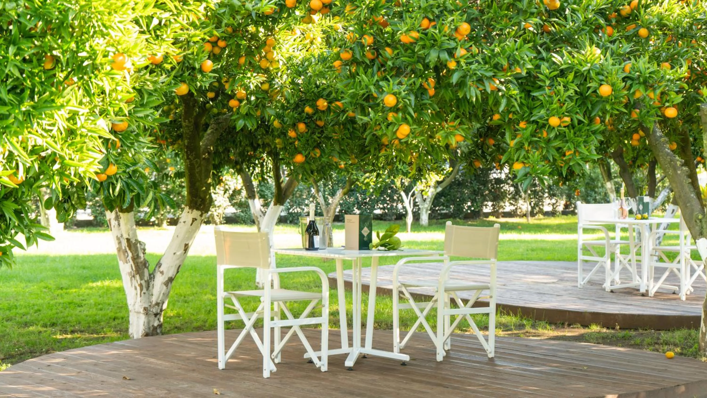 Patio in Resort & Winery Bosco De Medici