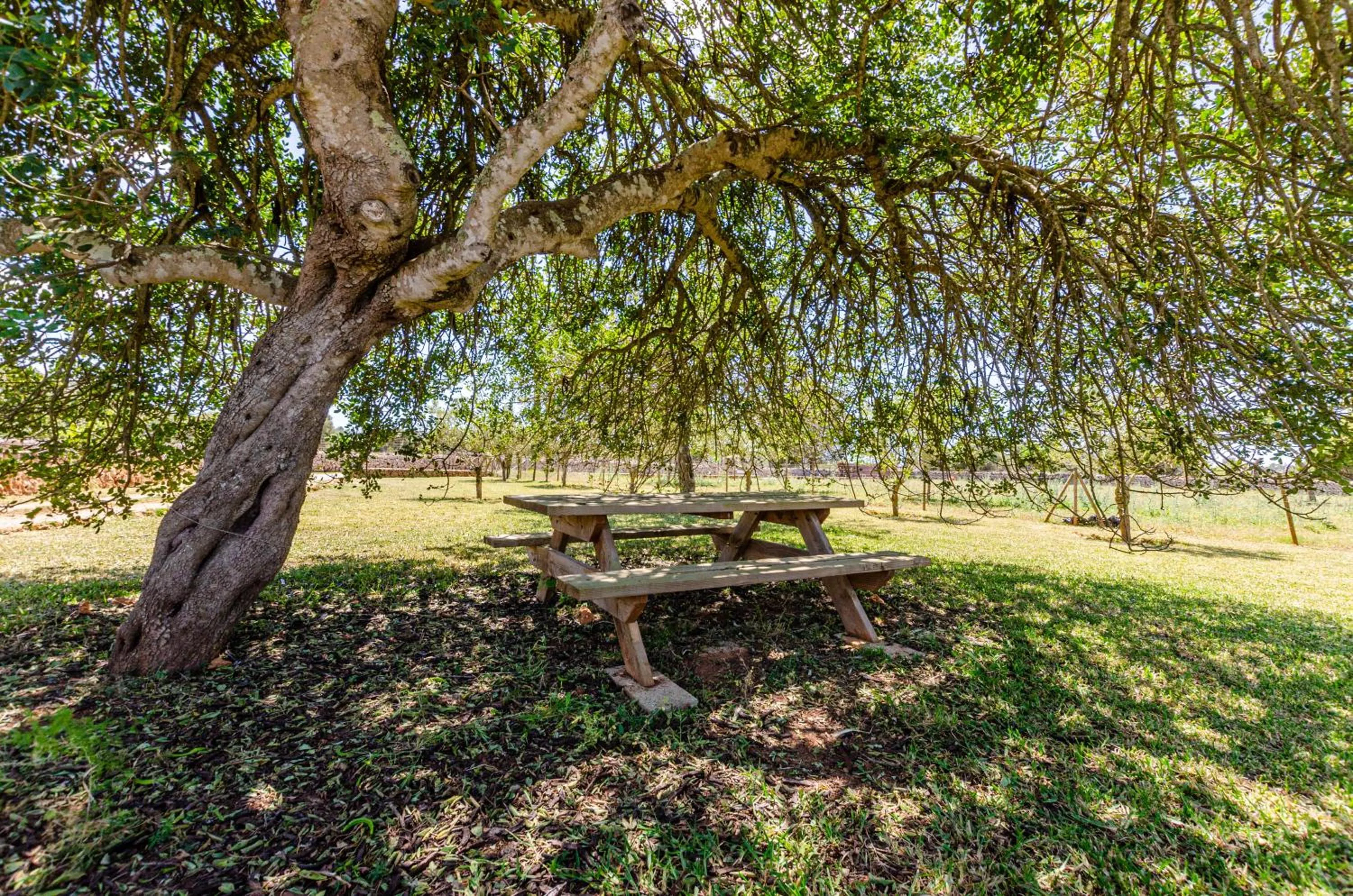 Garden in Can Porretí Agroturisme