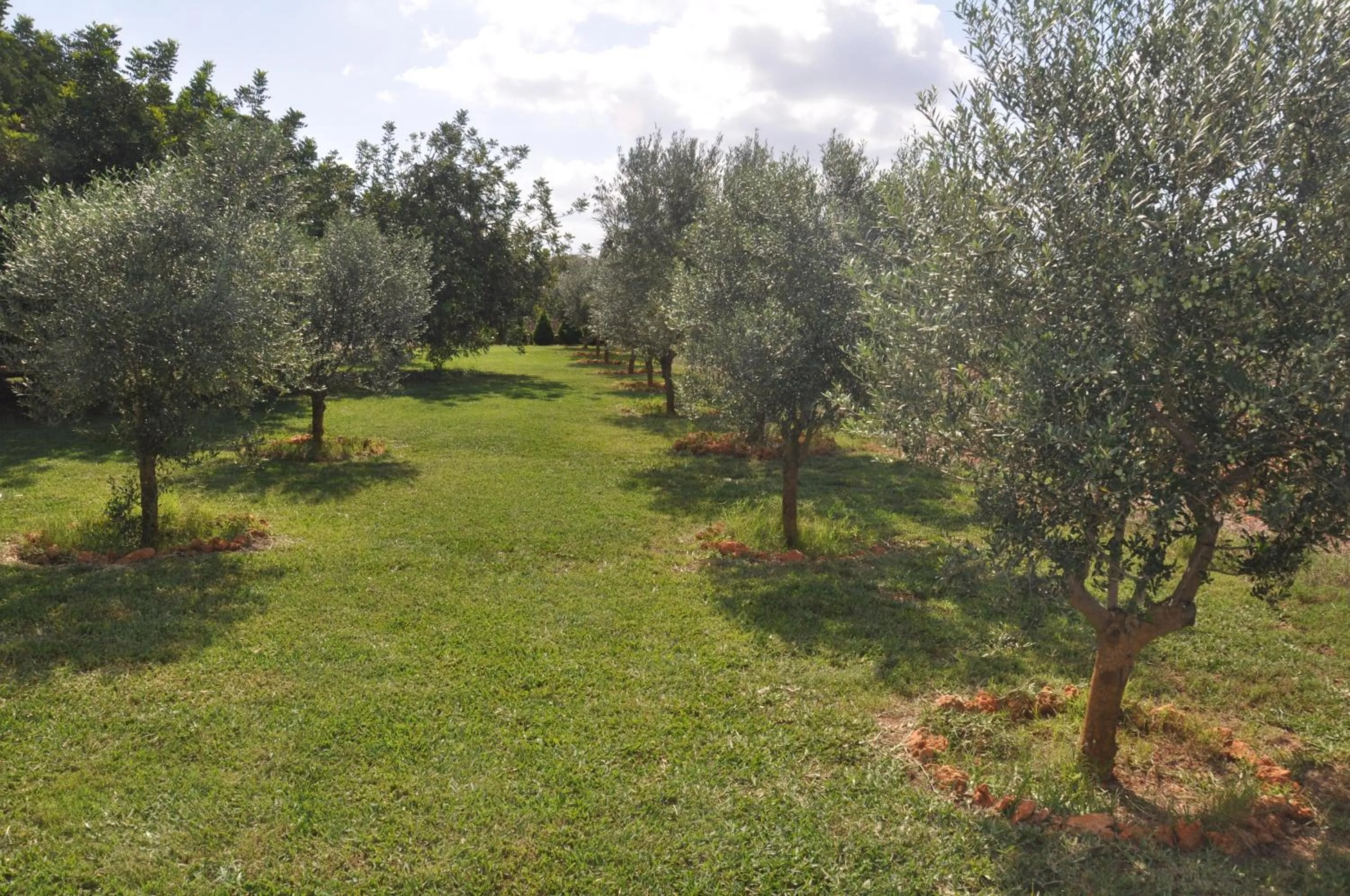 Garden in Can Porretí Agroturisme