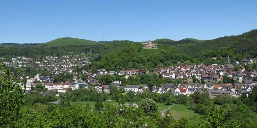 Natural landscape in Lahn Hotel