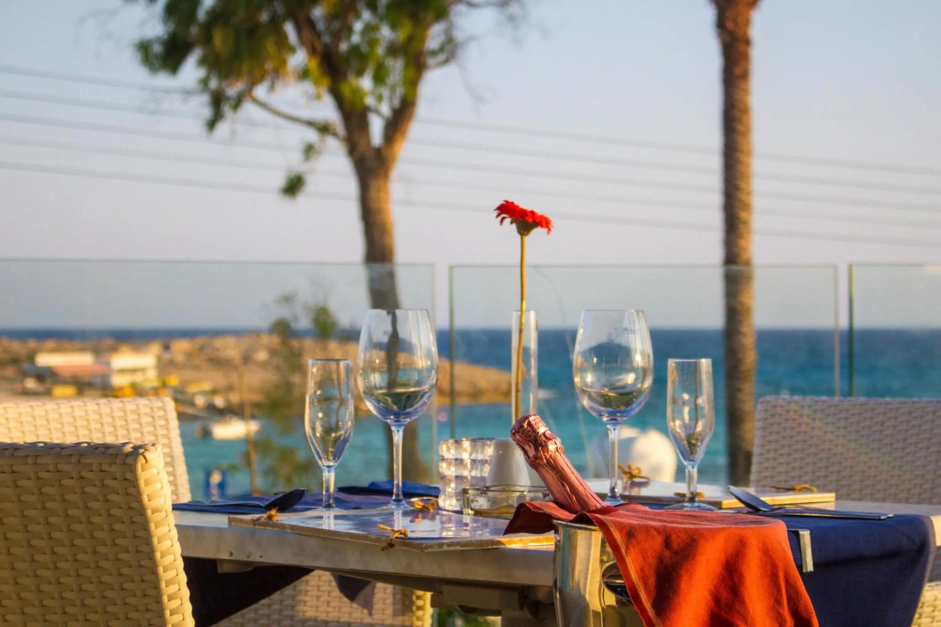 Restaurant/places to eat in Anonymous Beach Hotel (Adults 16+)