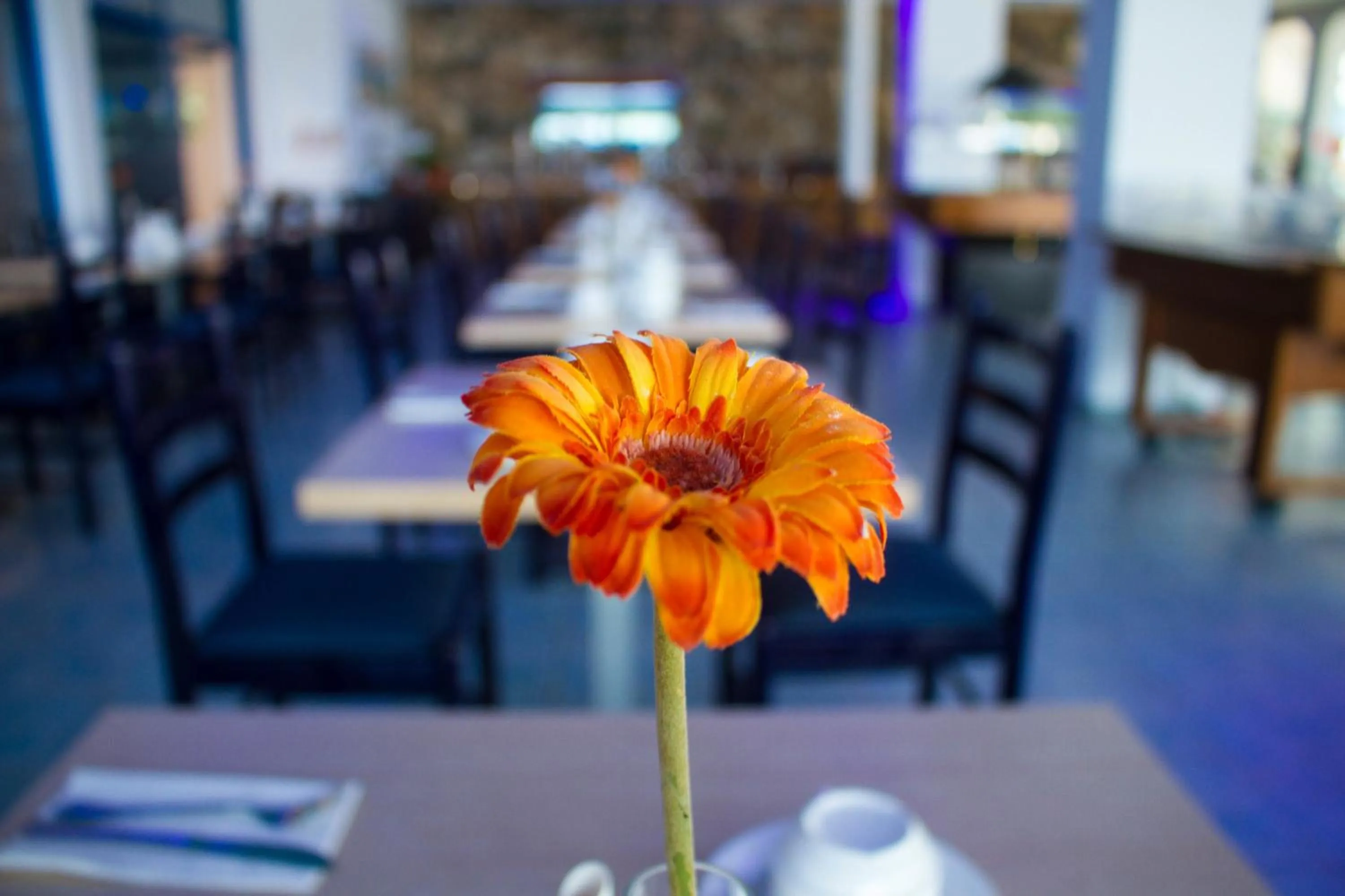 Restaurant/places to eat in Anonymous Beach Hotel (Adults 16+)