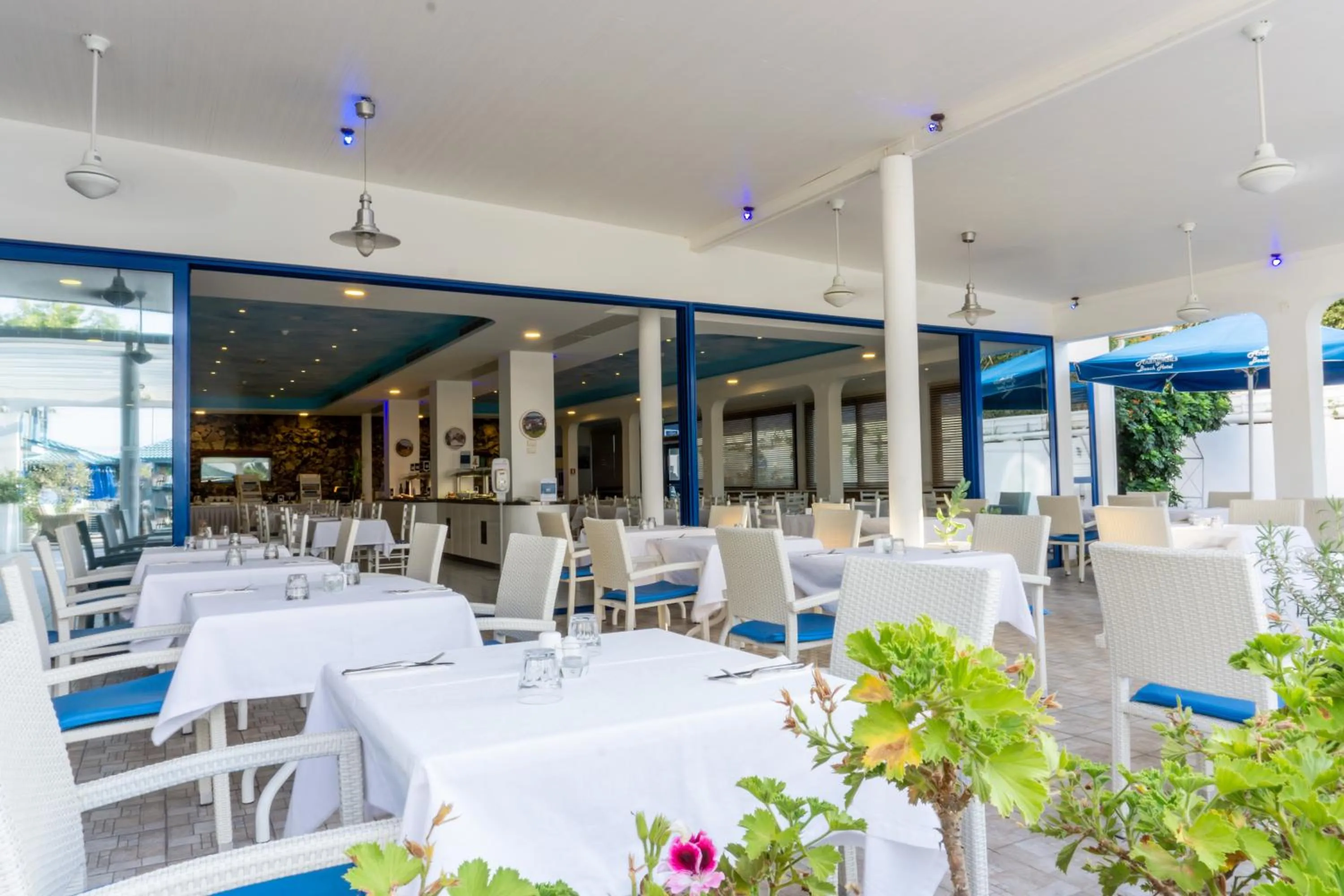 Restaurant/places to eat in Anonymous Beach Hotel (Adults 16+)