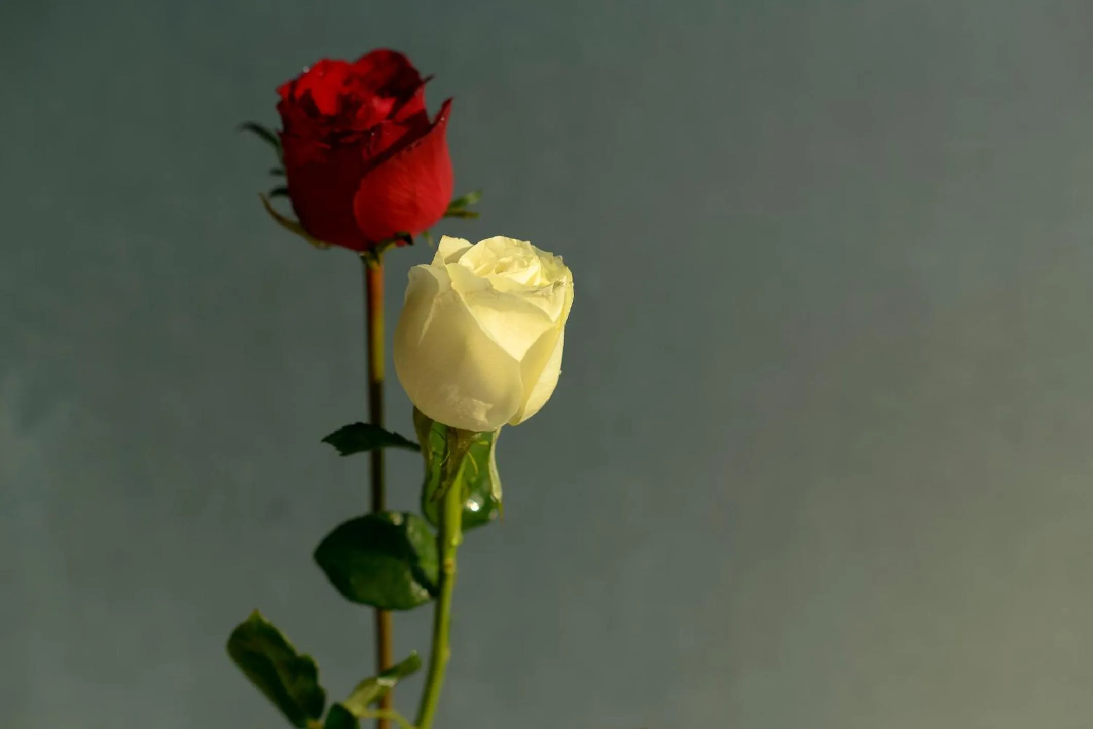 Decorative detail in The Puncak Lombok