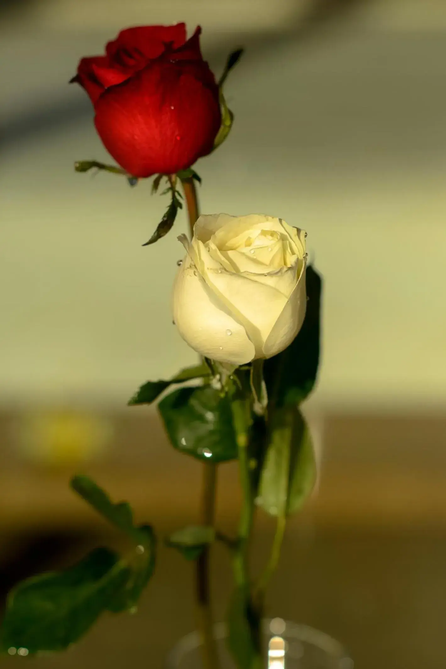 View (from property/room) in The Puncak Lombok View (from property/room) in The Puncak Lombok