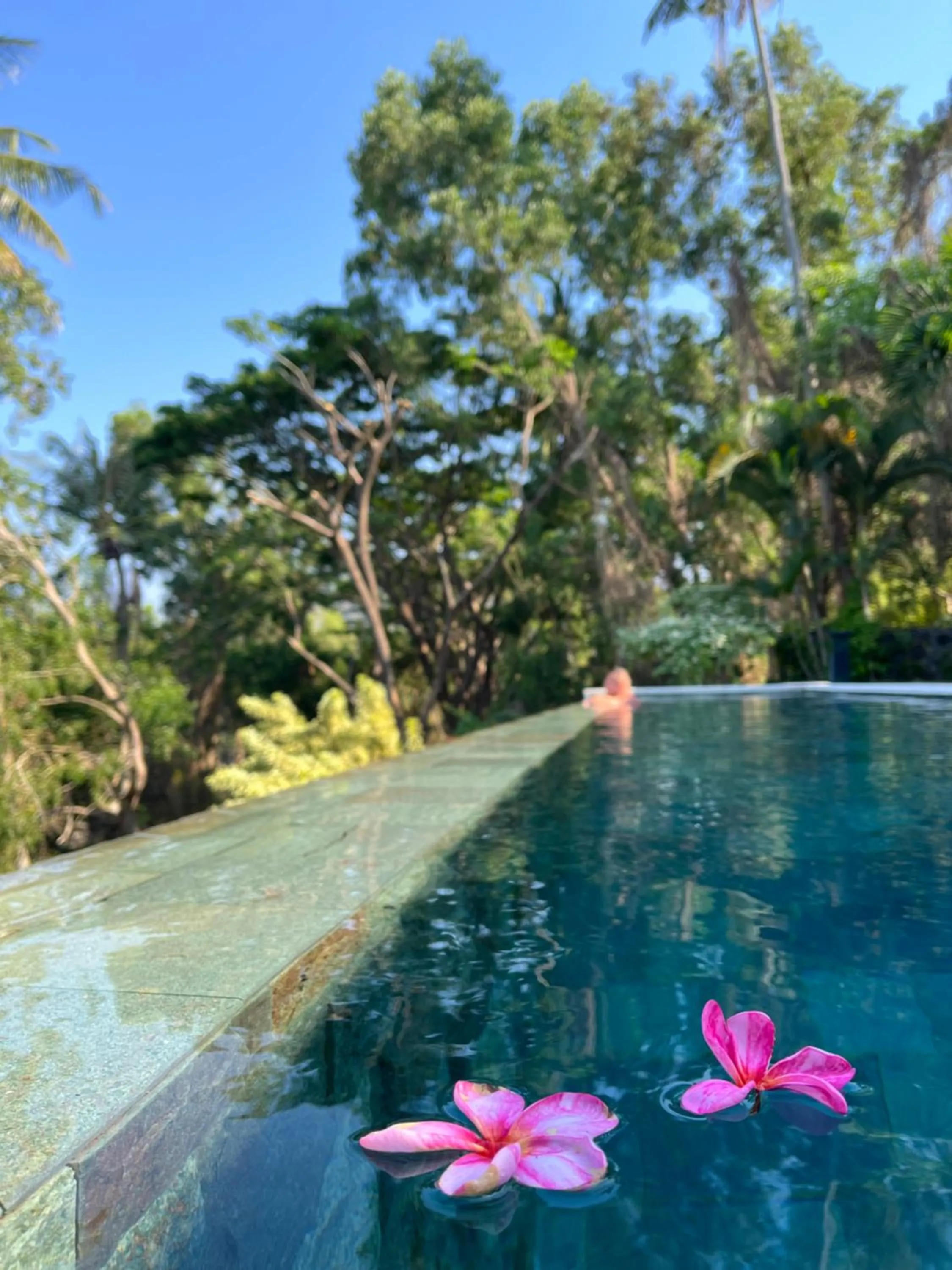 Natural landscape in The Puncak Lombok
