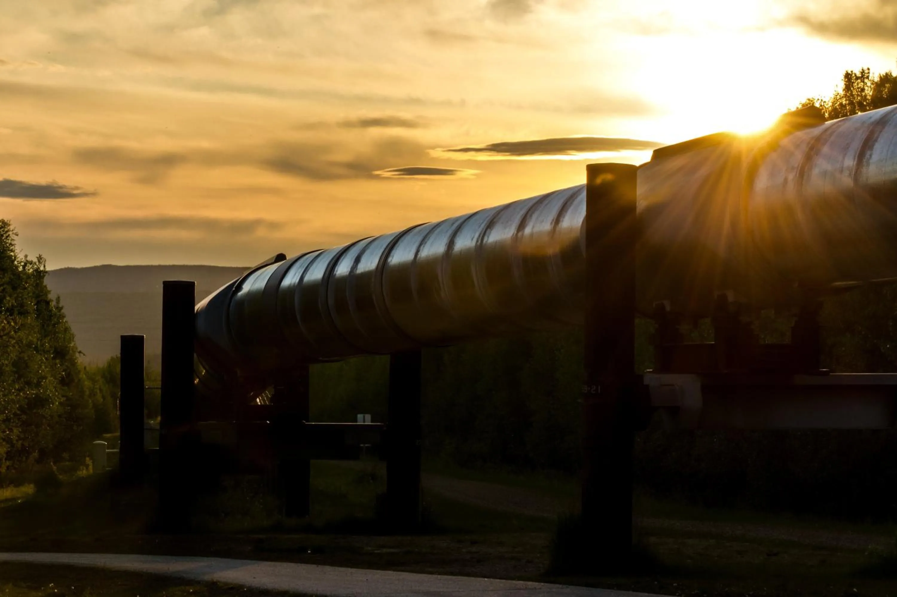 Area and facilities in Candlewood Suites - Fairbanks by IHG