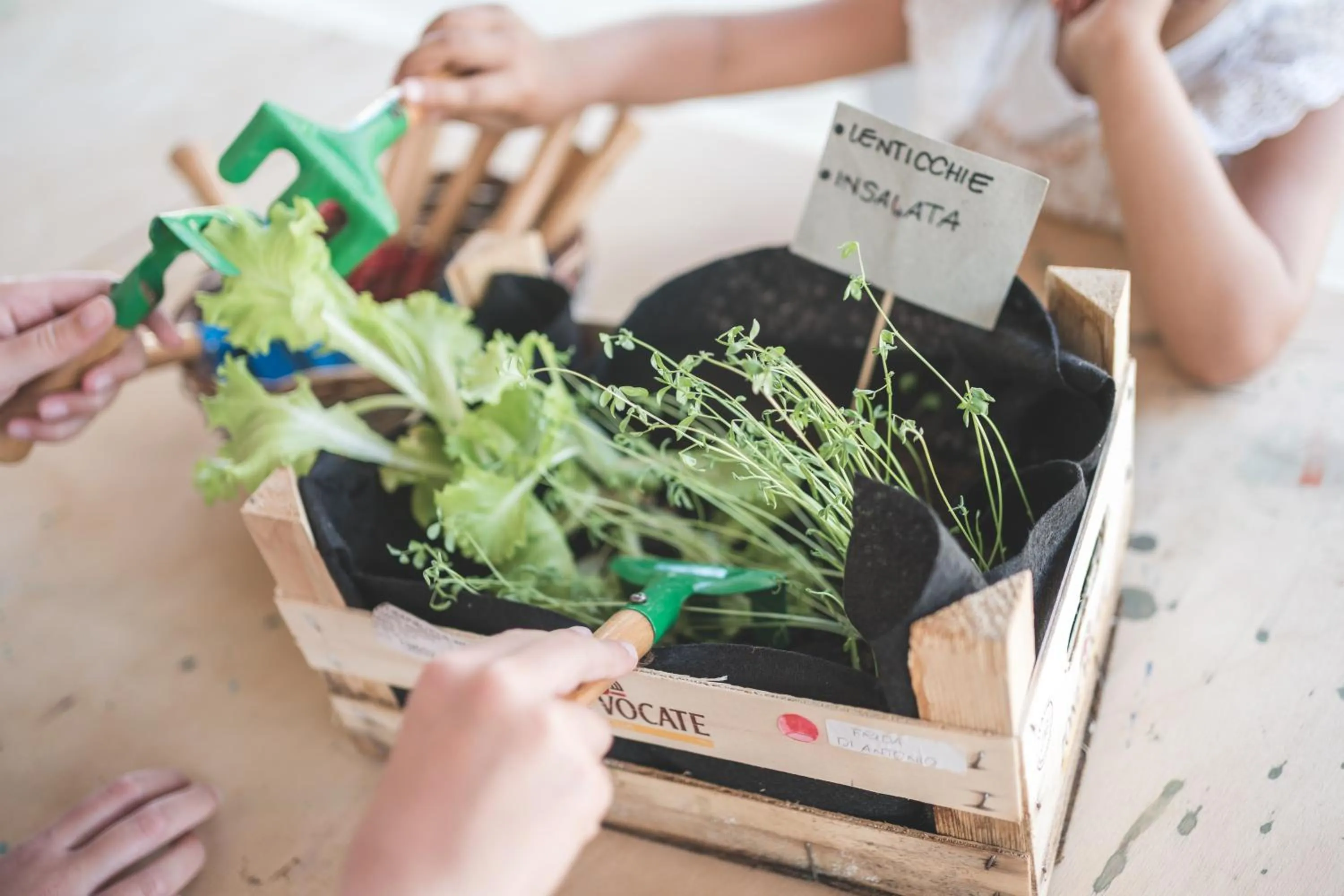 Fattoria Didattica La Collina Incantata