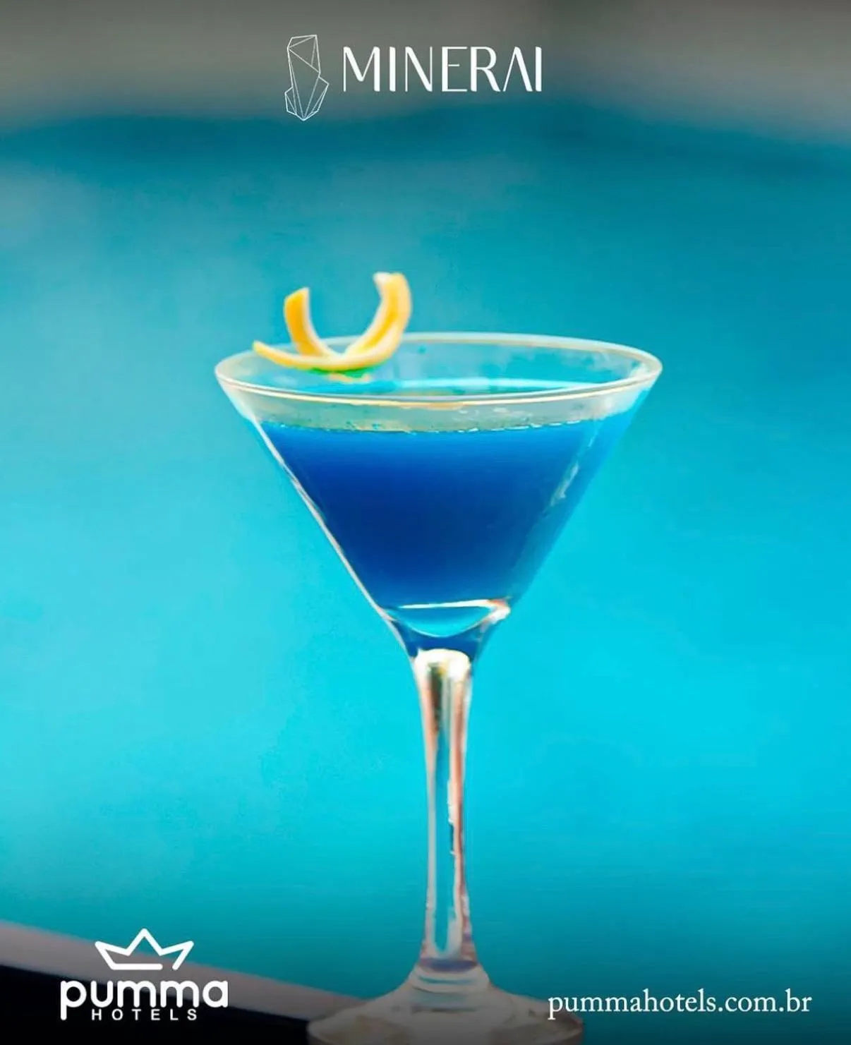 Pumma Business Hotel