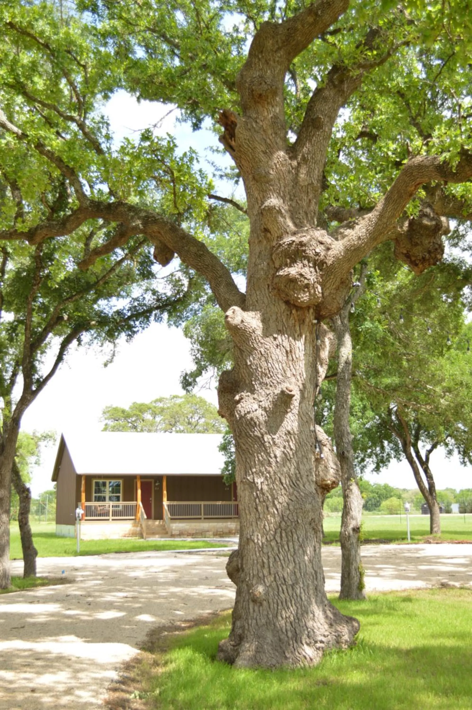 Vineyard Trail Cottages- Adults Only