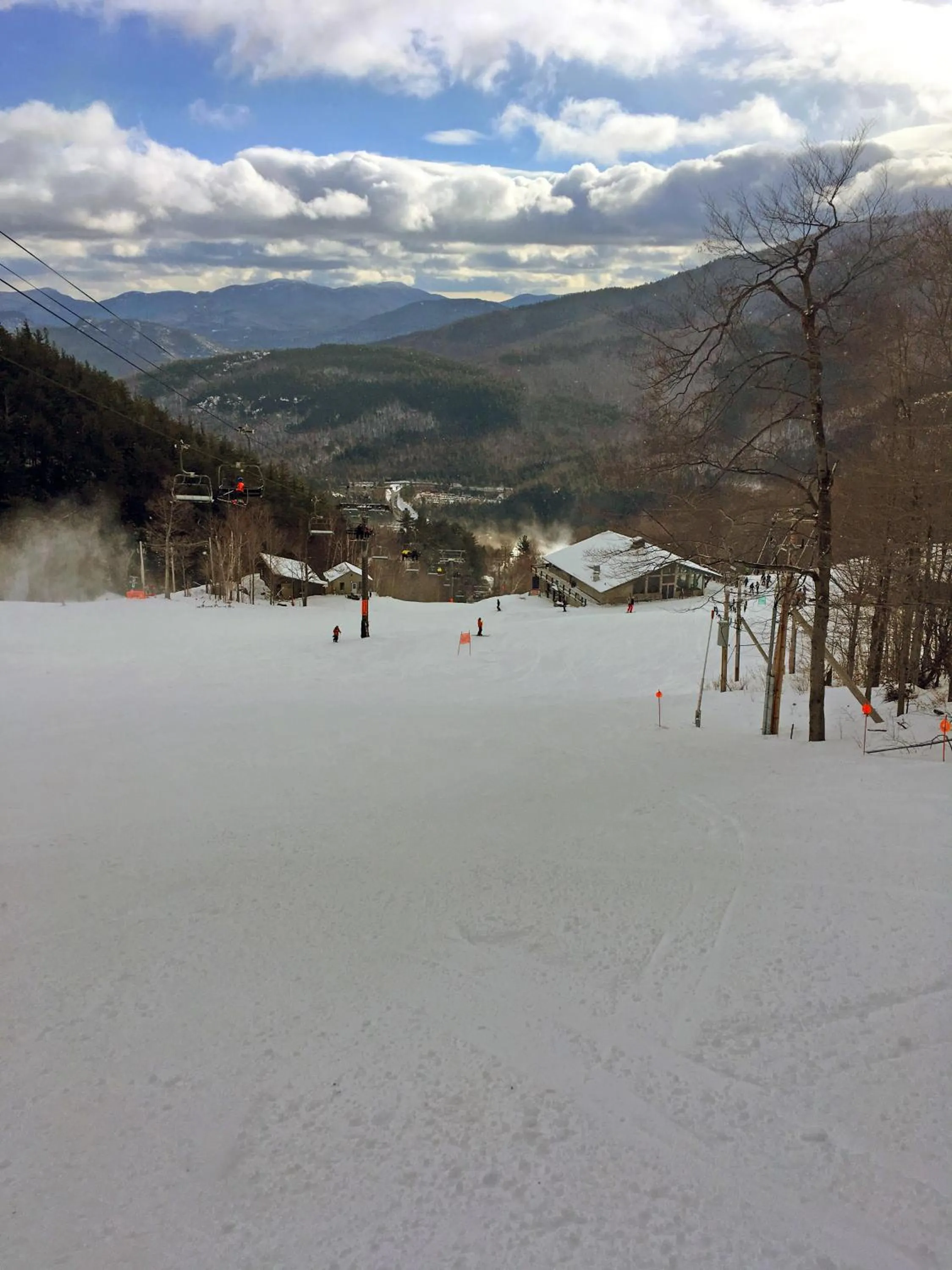 Natural landscape in Adirondack Spruce Lodge