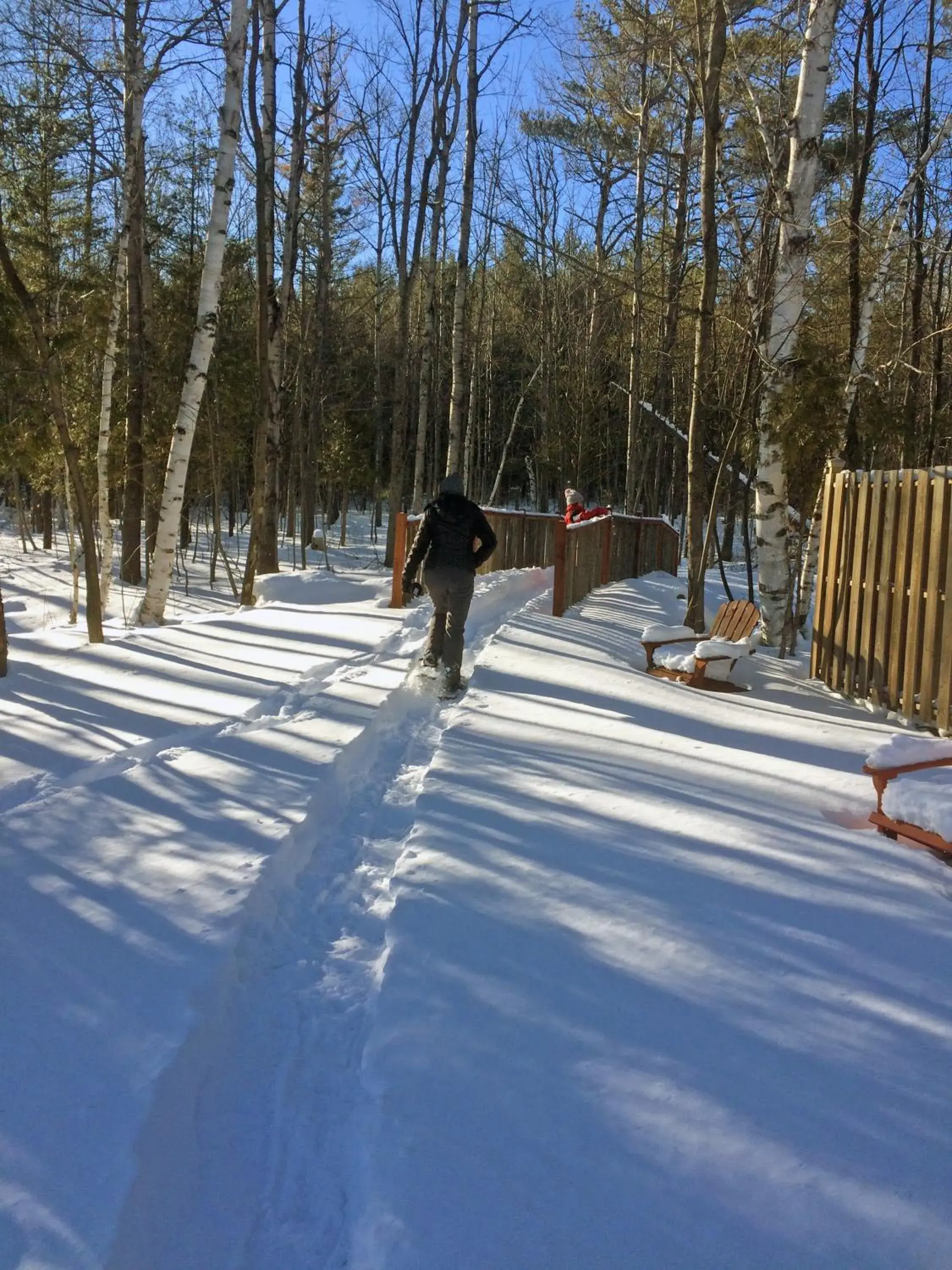Hiking, Winter in Adirondack Spruce Lodge