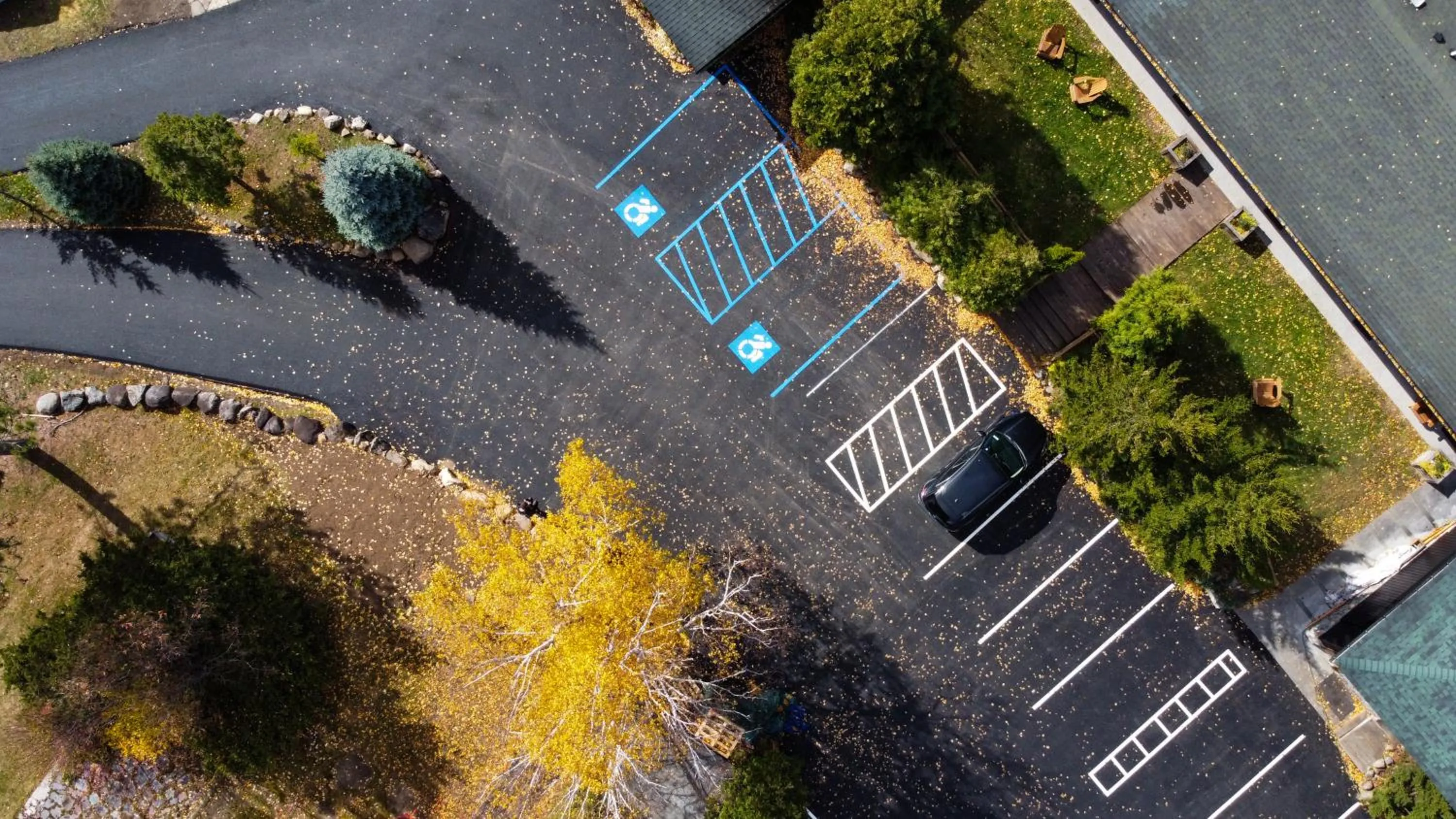Property building in Adirondack Spruce Lodge