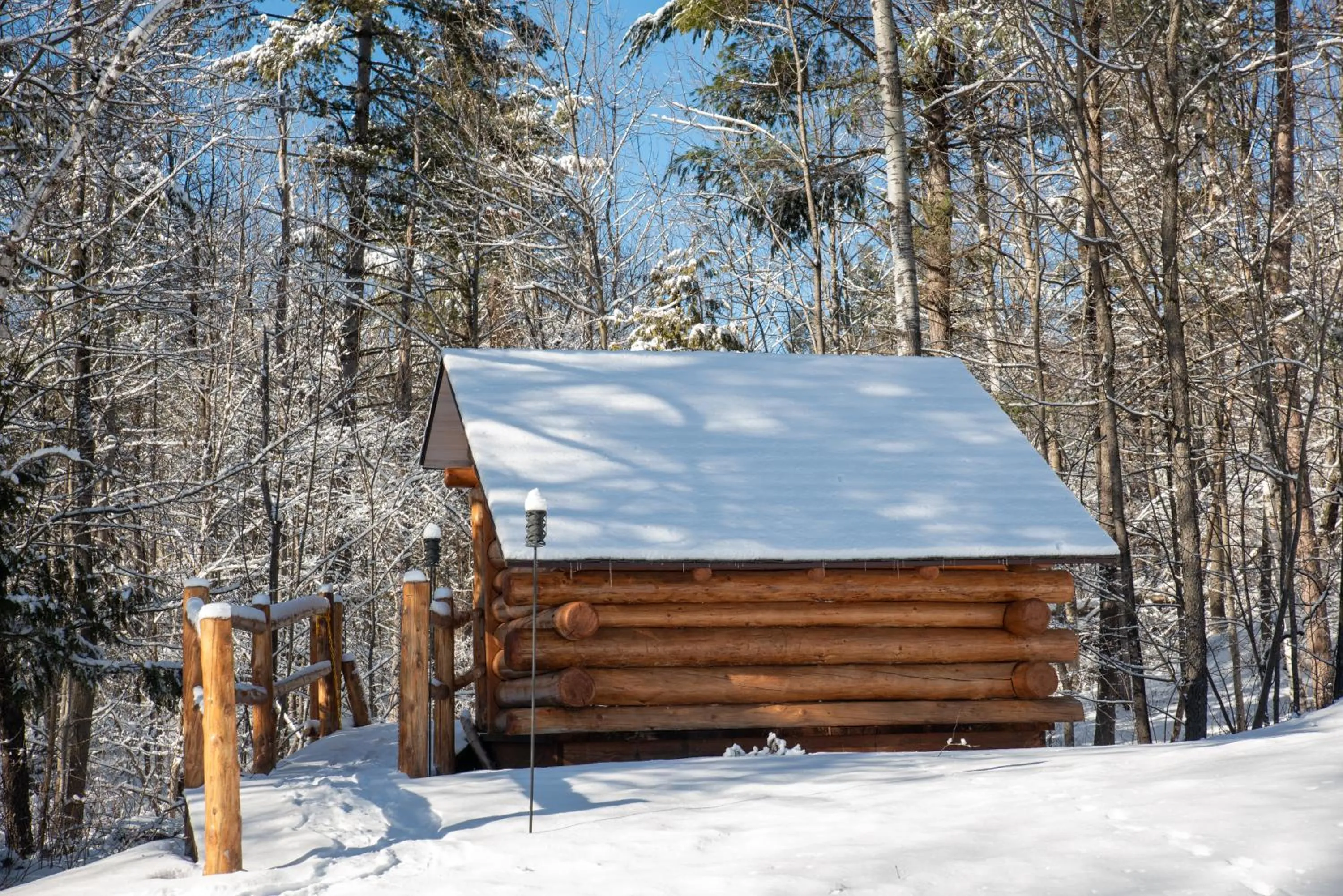 Day in Adirondack Spruce Lodge
