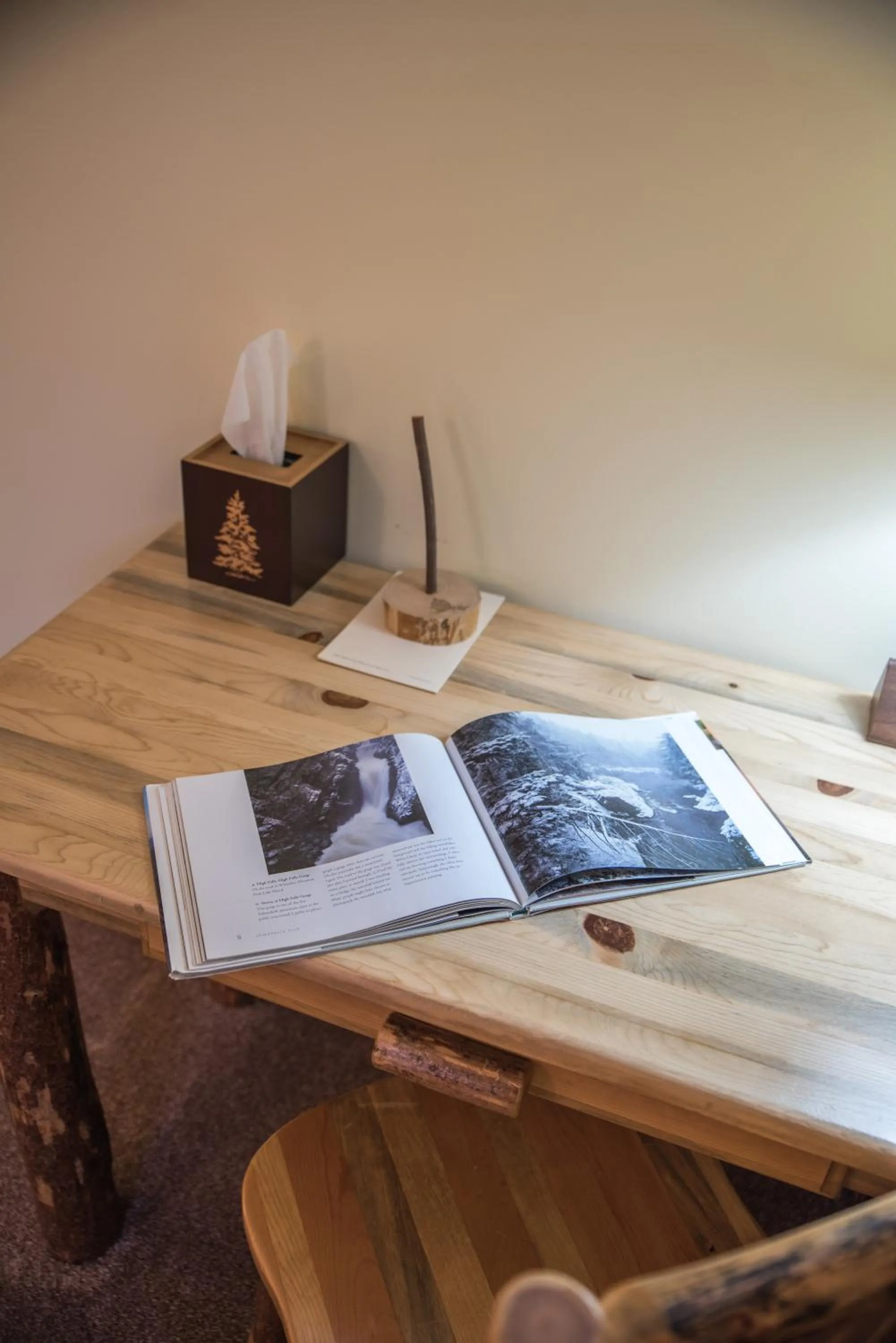 Decorative detail in Adirondack Spruce Lodge