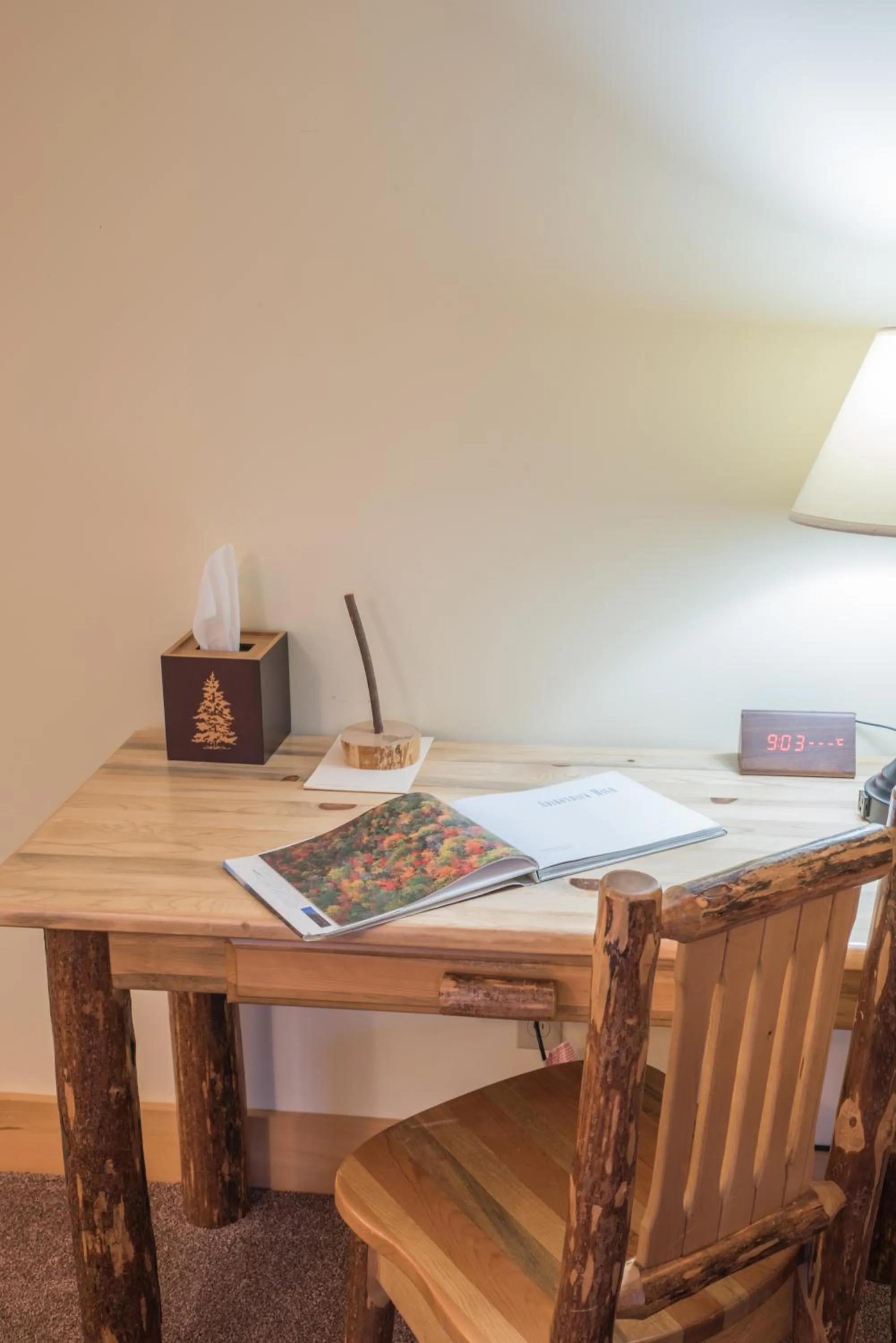 Decorative detail in Adirondack Spruce Lodge