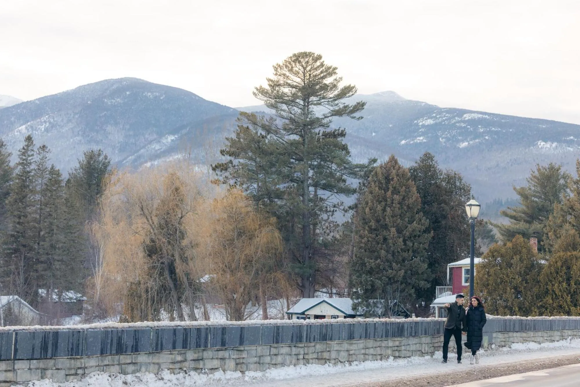 Natural landscape in Adirondack Spruce Lodge