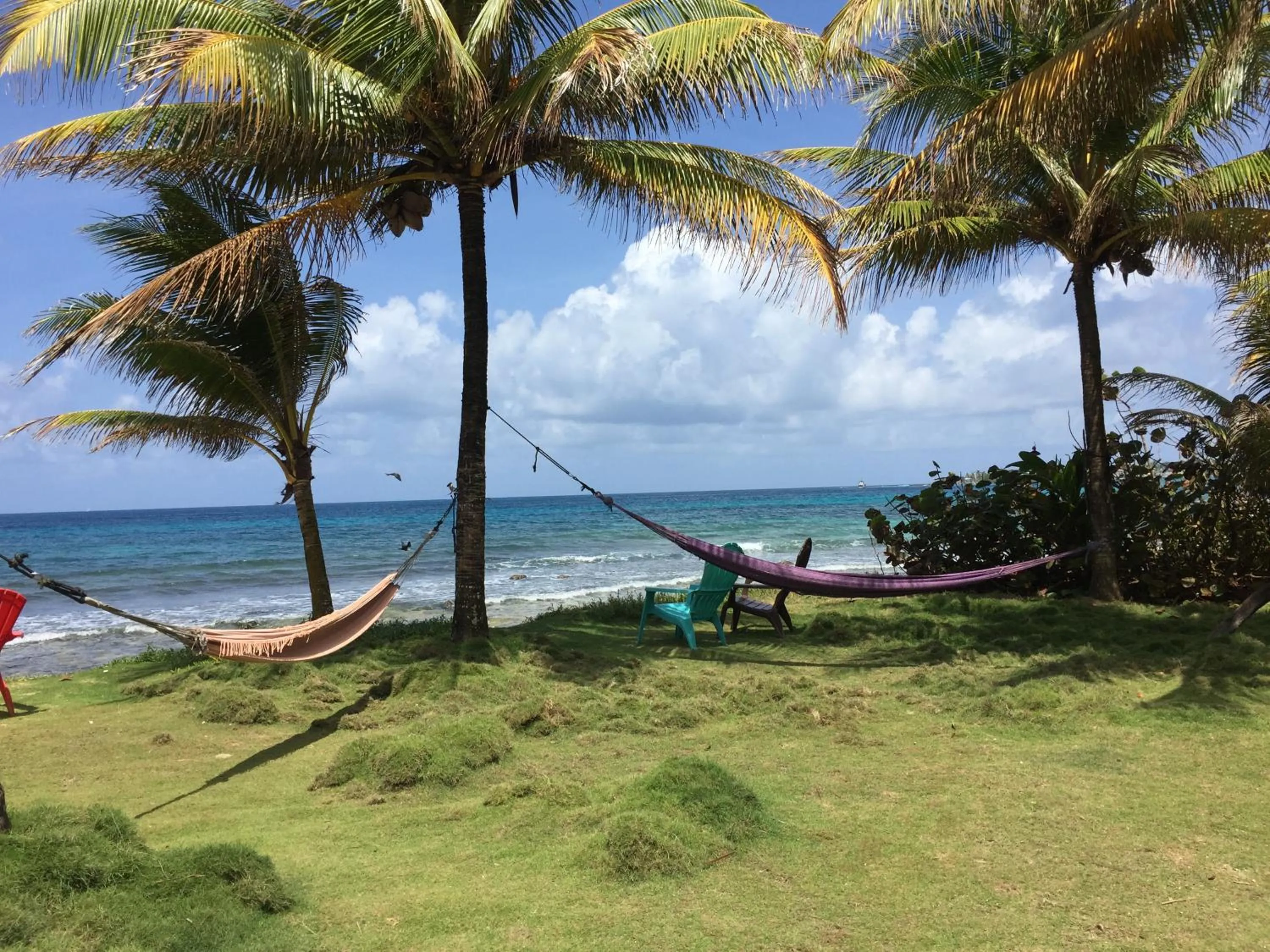 Balcony/Terrace in La Princesa de La Isla