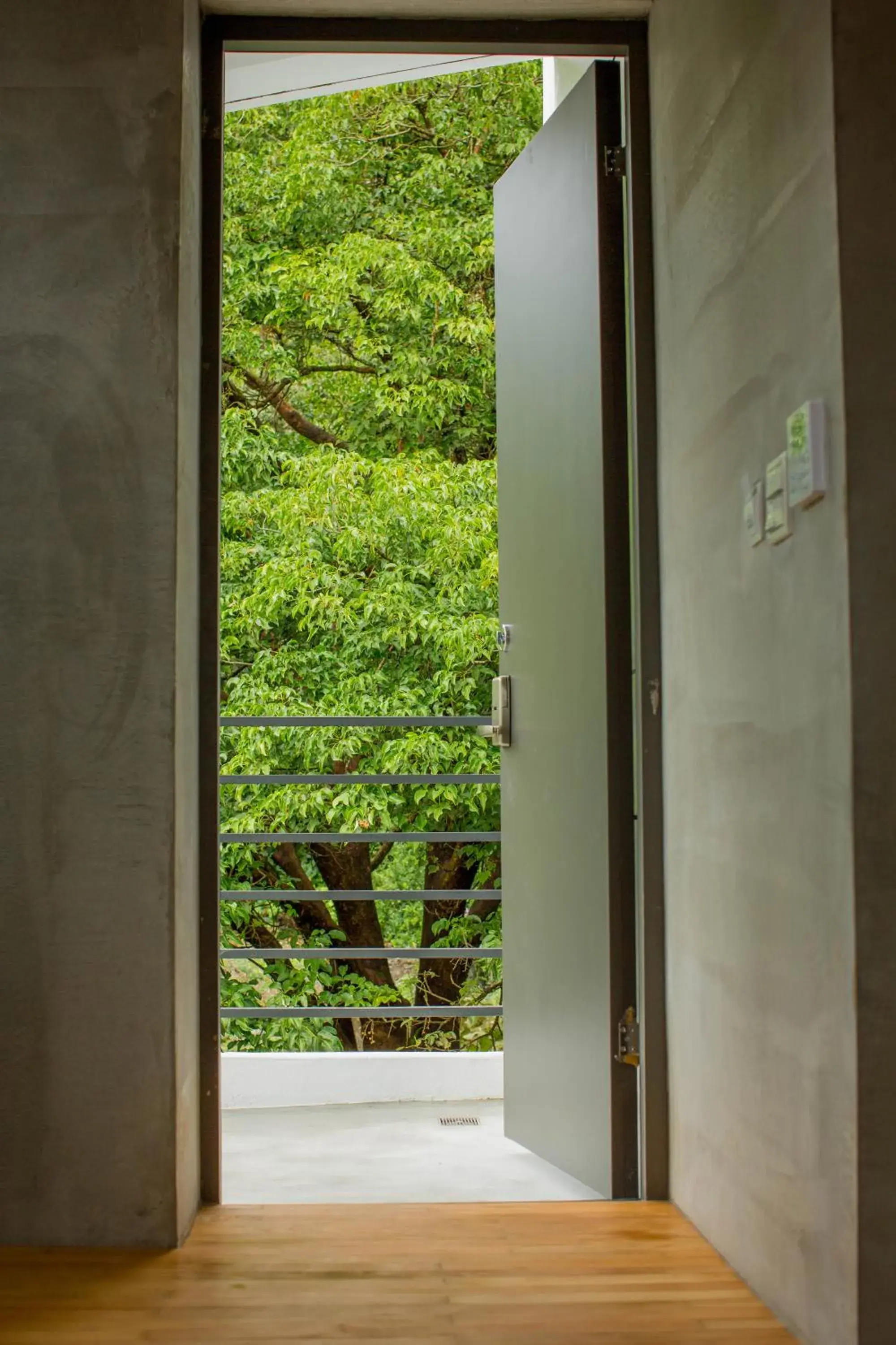 Mountain view in Ruisui Sunshine Hot Spring B&B Mountain view in Ruisui Sunshine Hot Spring B&B