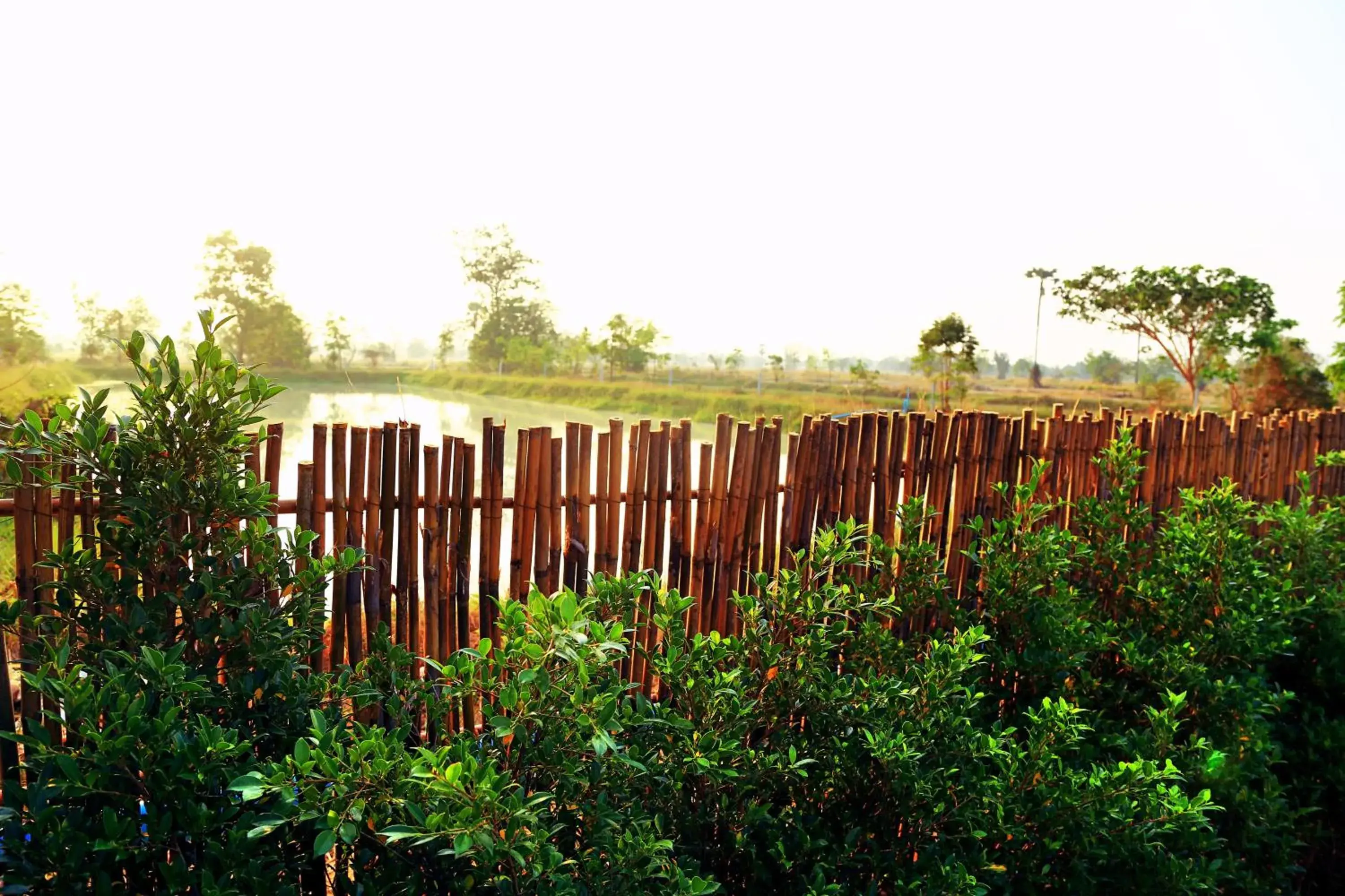View (from property/room) in Sawasdee Sukhothai Resort View (from property/room) in Sawasdee Sukhothai Resort