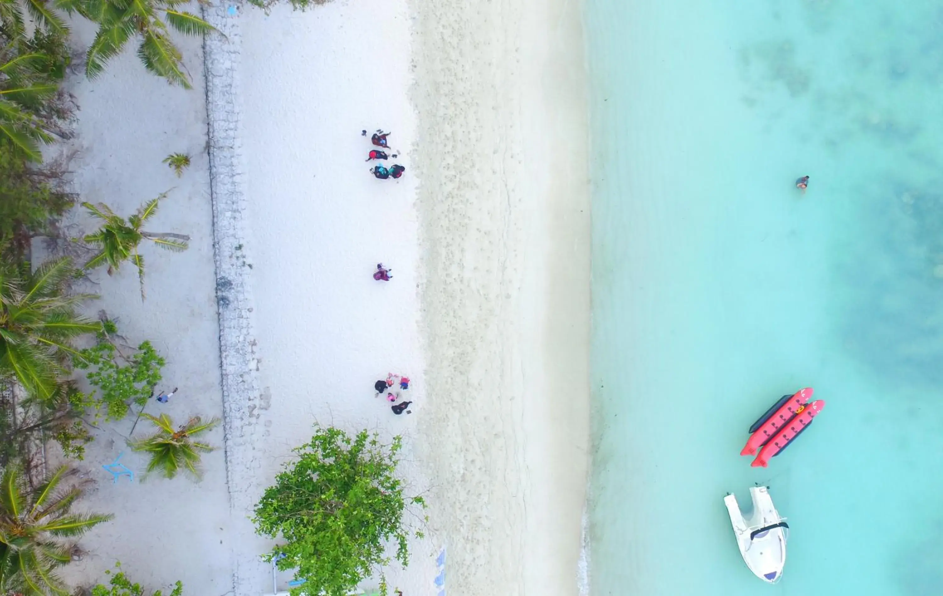 Bird's eye view in Planktons Beach Bird's eye view in Planktons Beach