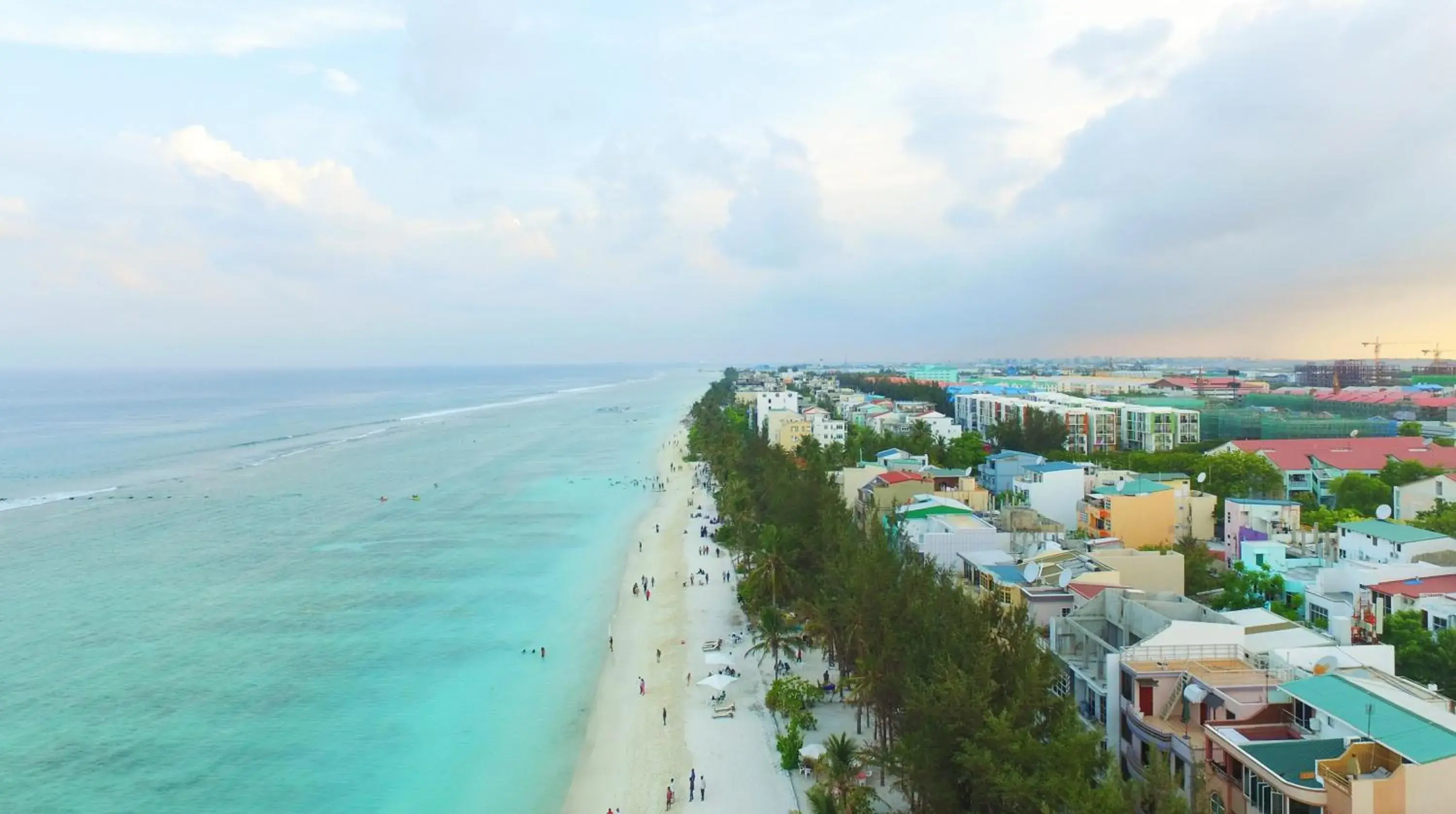 Bird's eye view in Planktons Beach Bird's eye view in Planktons Beach