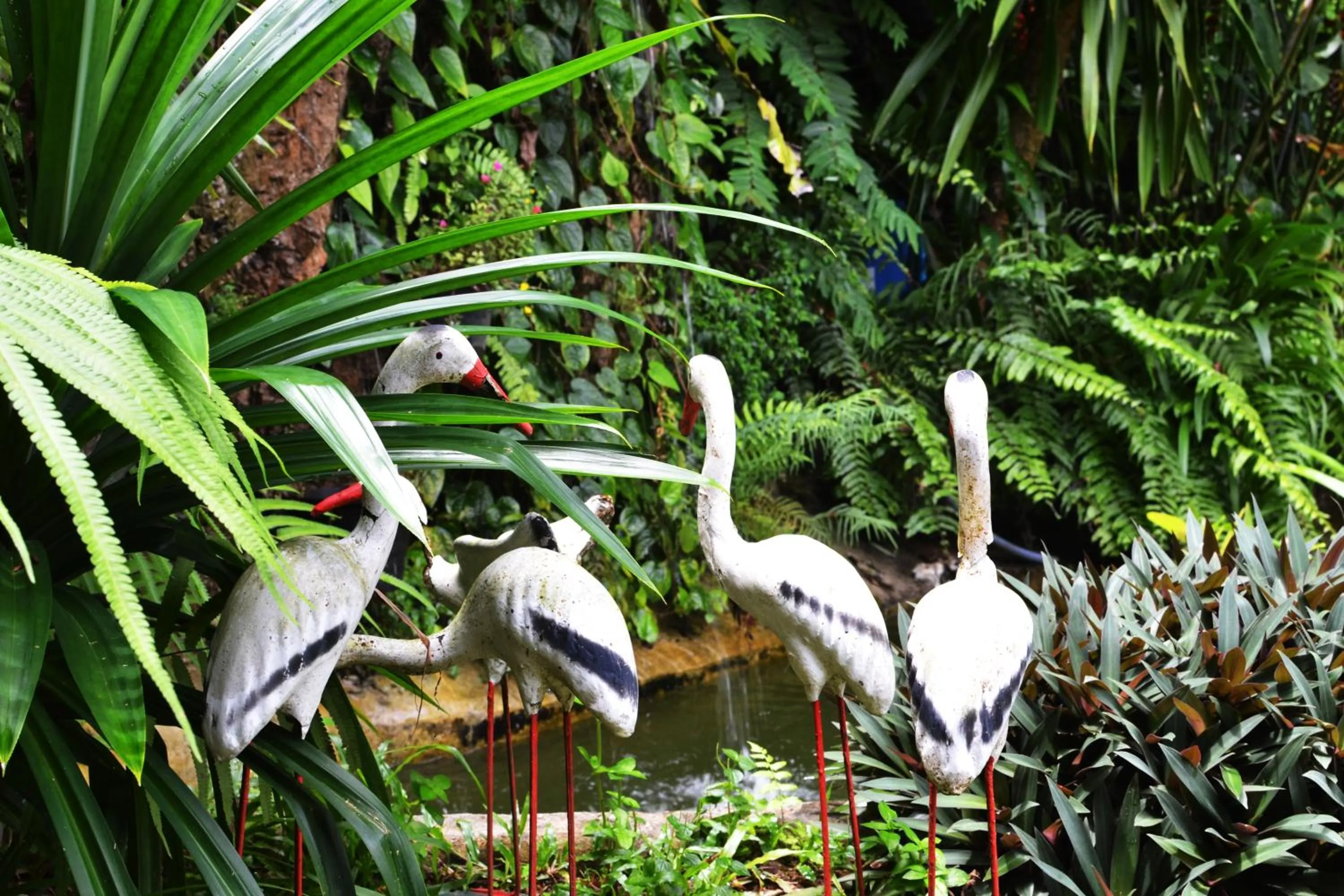 Garden in Khao Chang View Resort