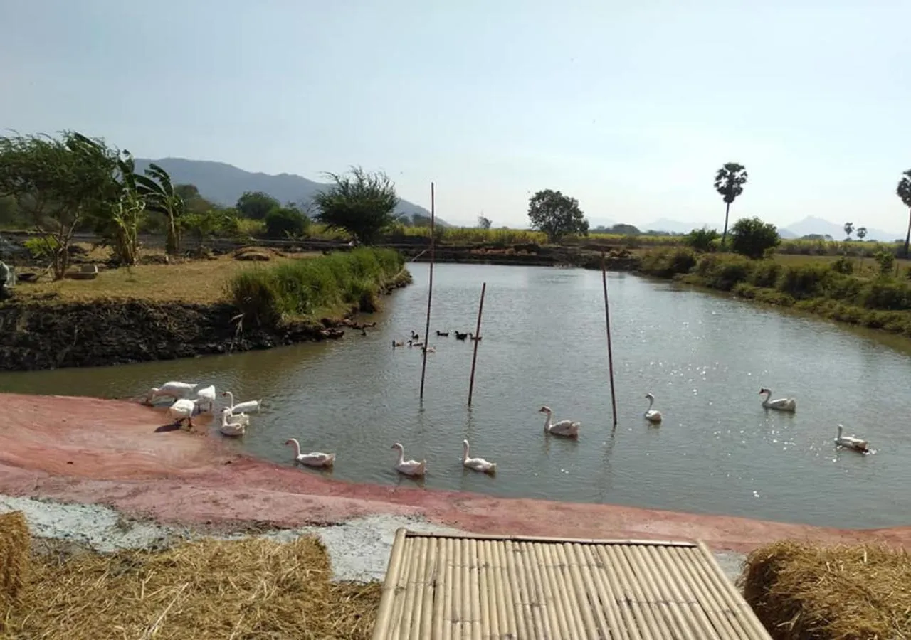 Activities in Wanlapa Farmstay