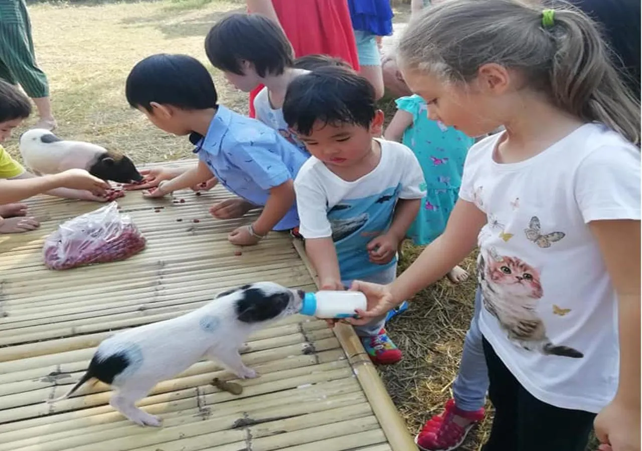 Activities in Wanlapa Farmstay