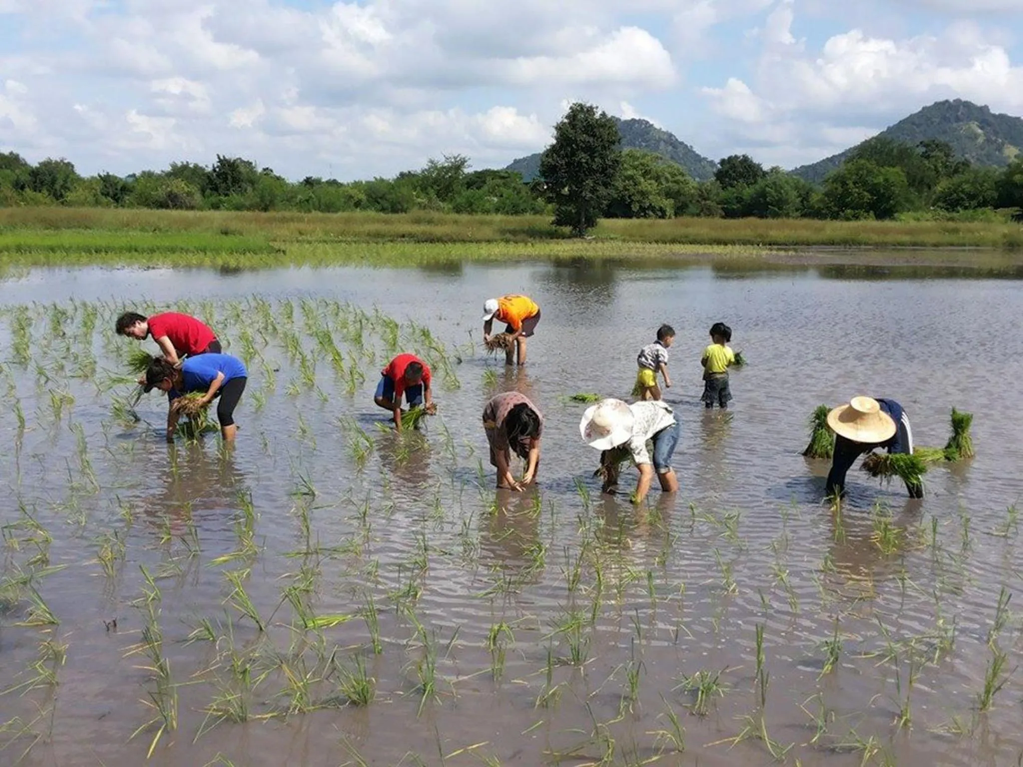 Sports in Wanlapa Farmstay