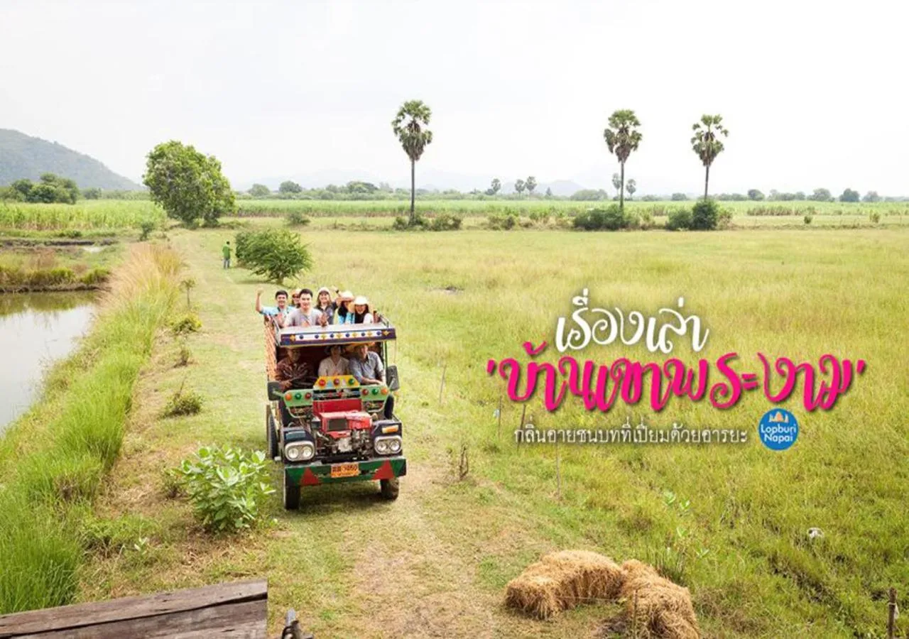 Activities in Wanlapa Farmstay