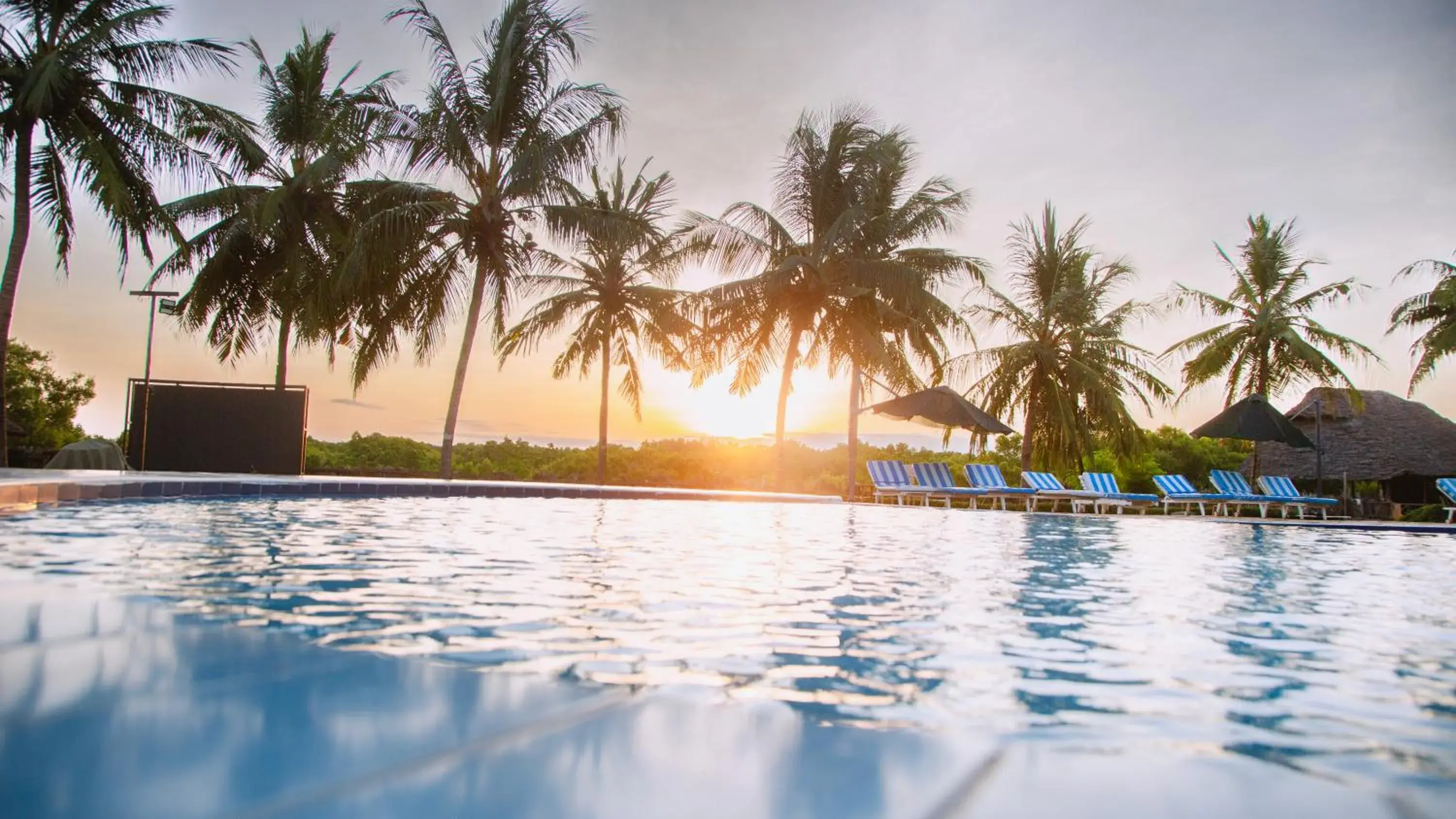 Swimming pool in Tanga Beach Resort & Spa Swimming pool in Tanga Beach Resort & Spa