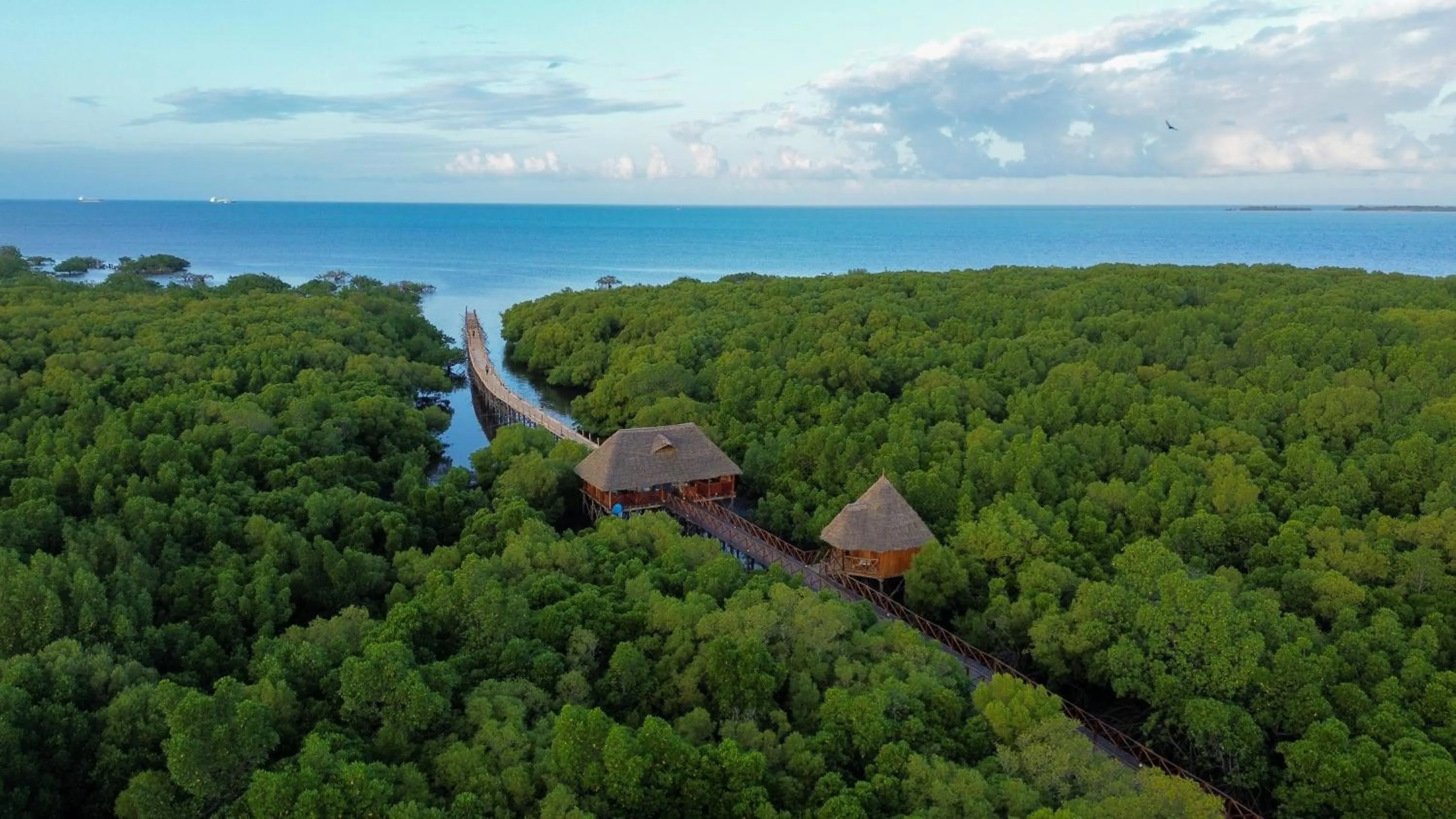 Lounge or bar in Tanga Beach Resort & Spa