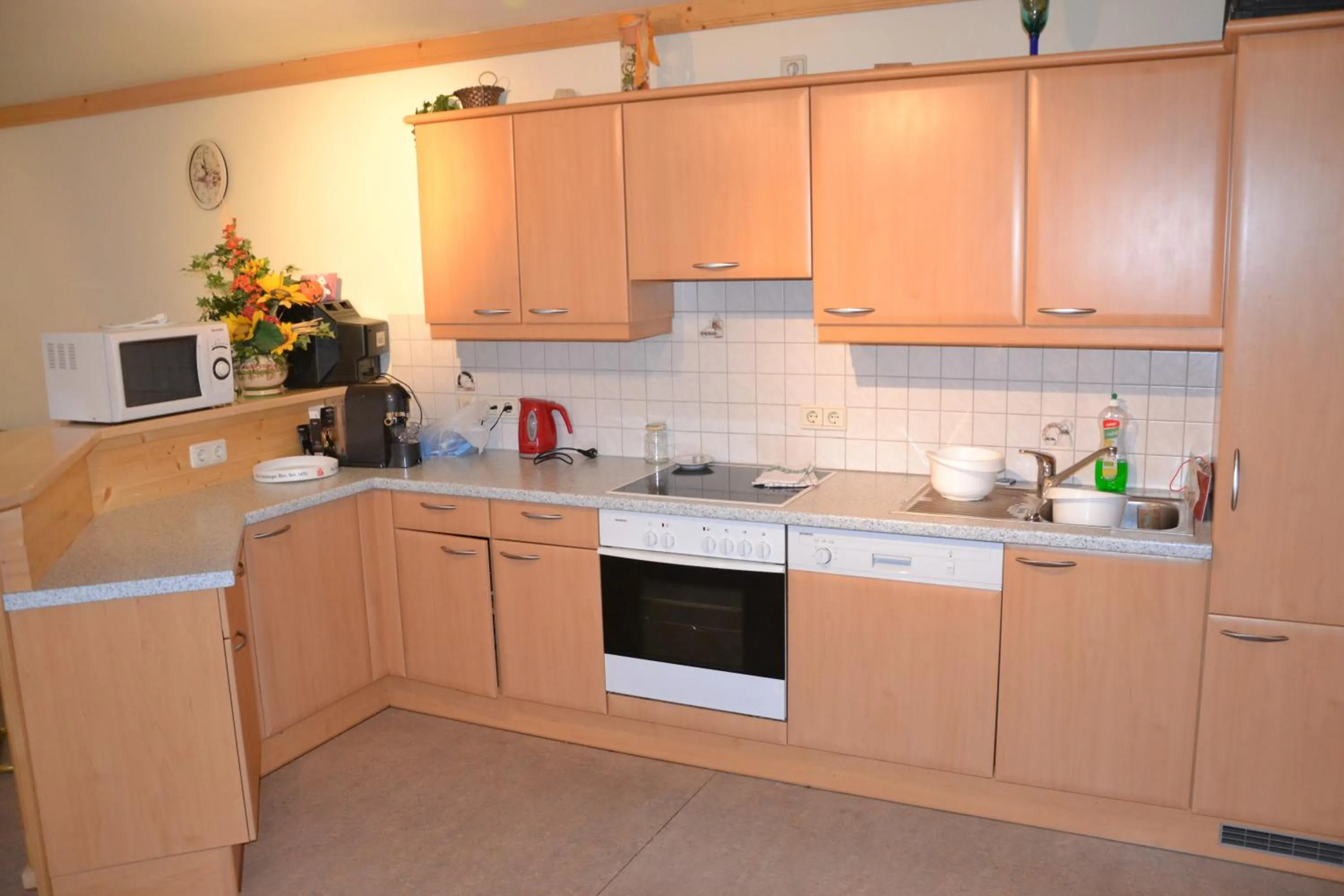 Communal kitchen in Holiday-Appartements