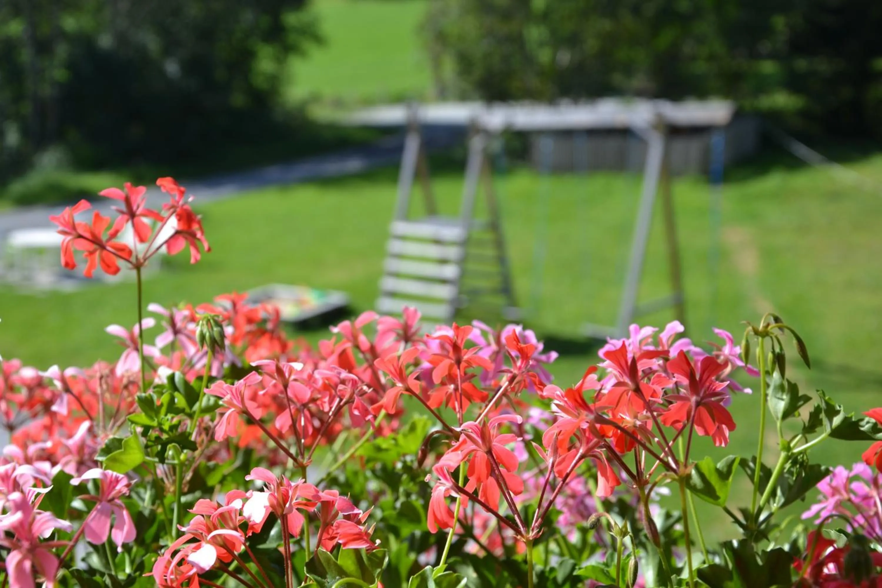 BBQ facilities in Holiday-Appartements