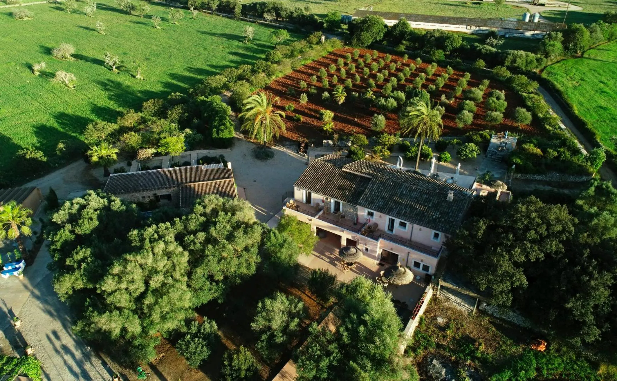 Spring in Agroturismo Fincahotel Son Pou